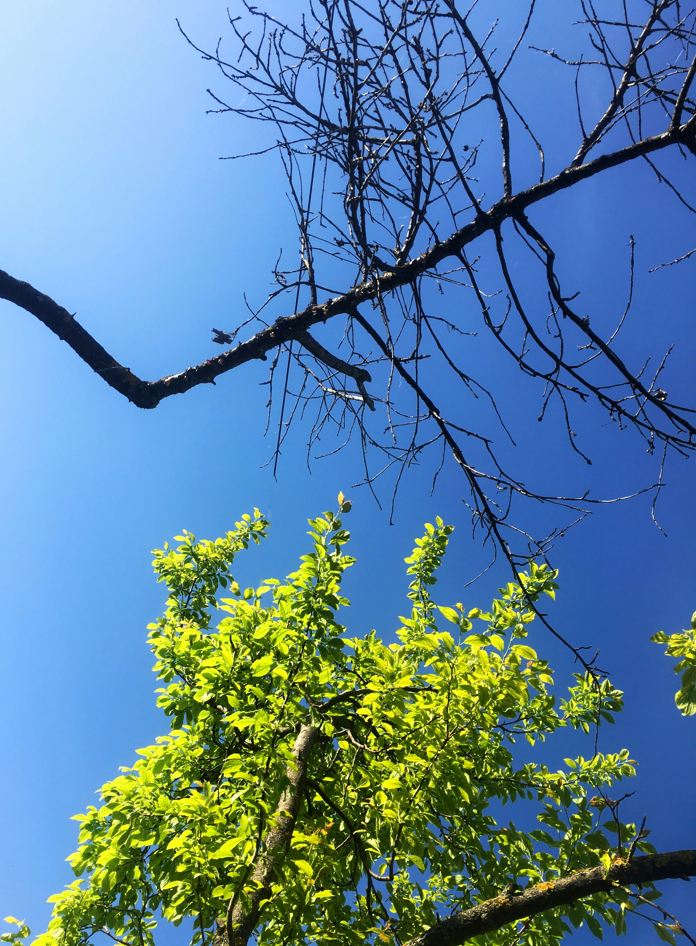 Photo by benjamindem