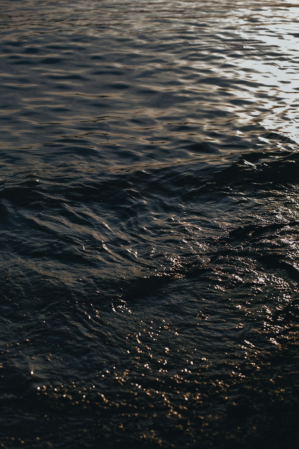 a body of water with a beach and waves