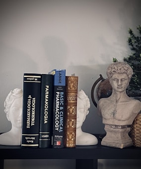 A shelf displays a collection of books on pharmacology, flanked by two white statue bookends in the shape of classical heads and a stone bust of a classical figure. A small green plant in a woven basket adds a touch of natural color.