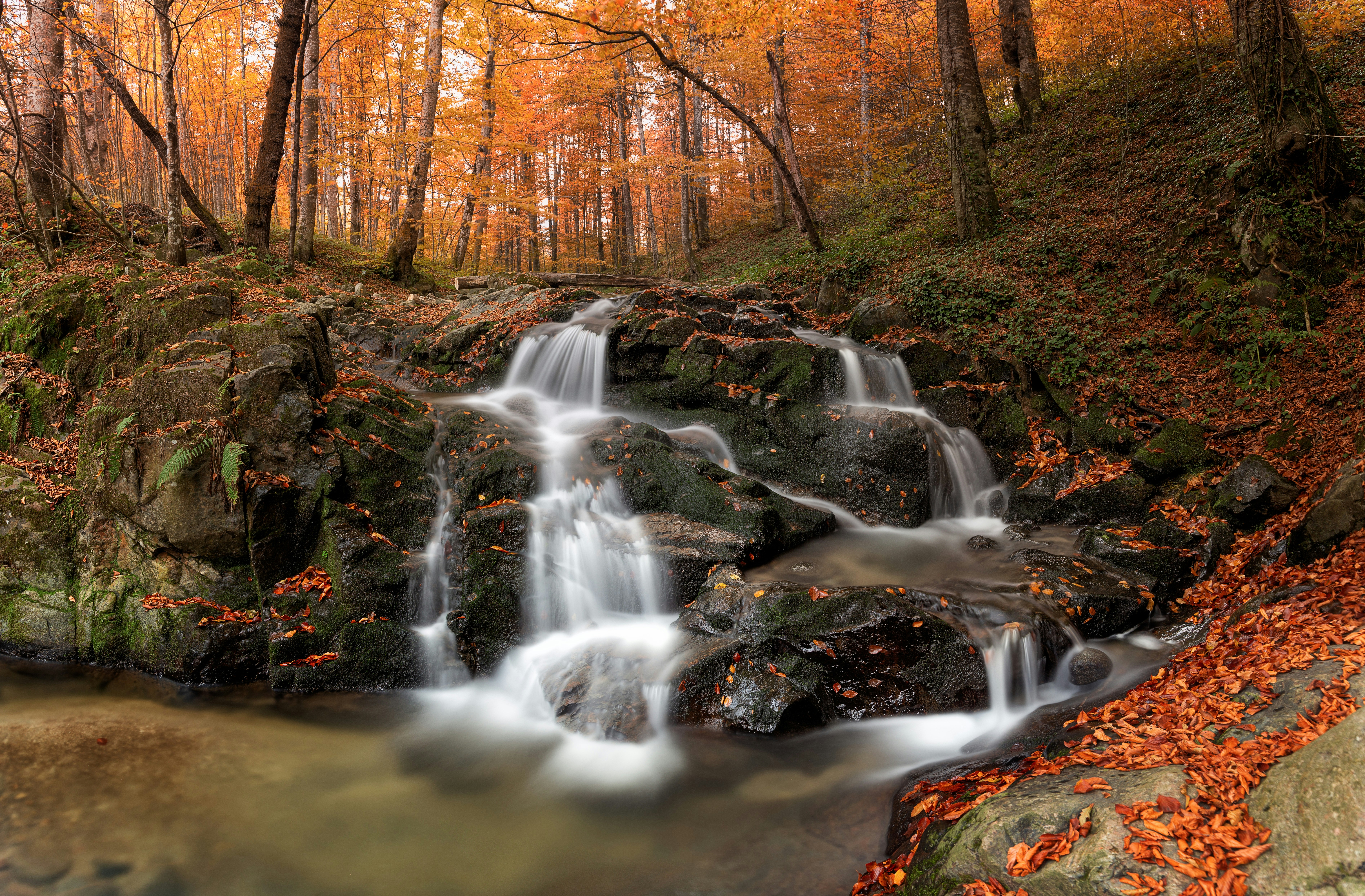 Image by Hristo Marinski via Unsplash