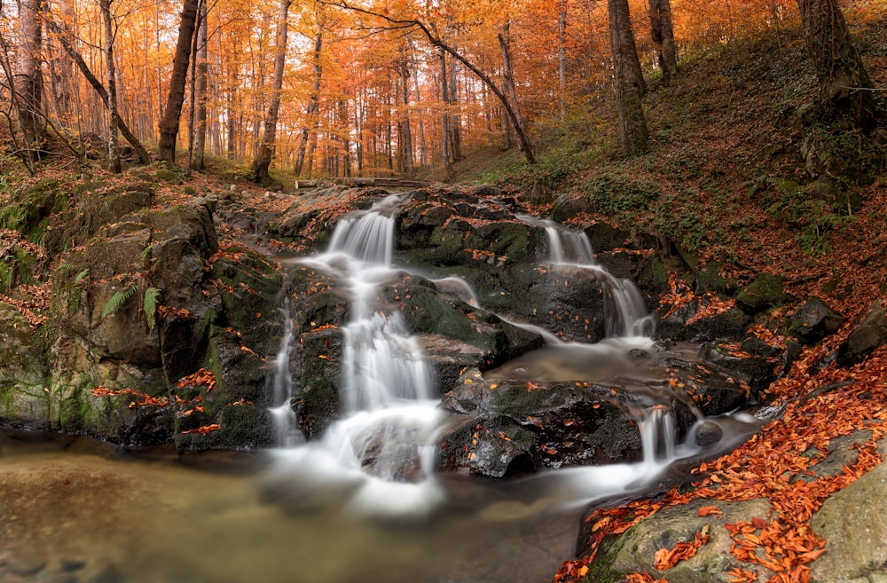 a small waterfall in a forest