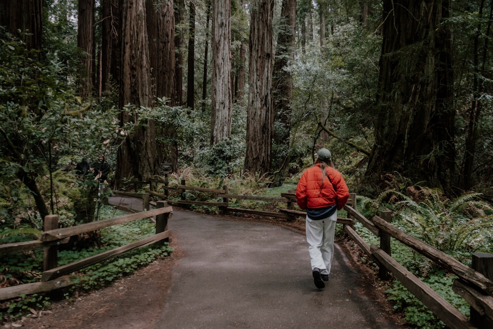 a person walking on a path in a forest