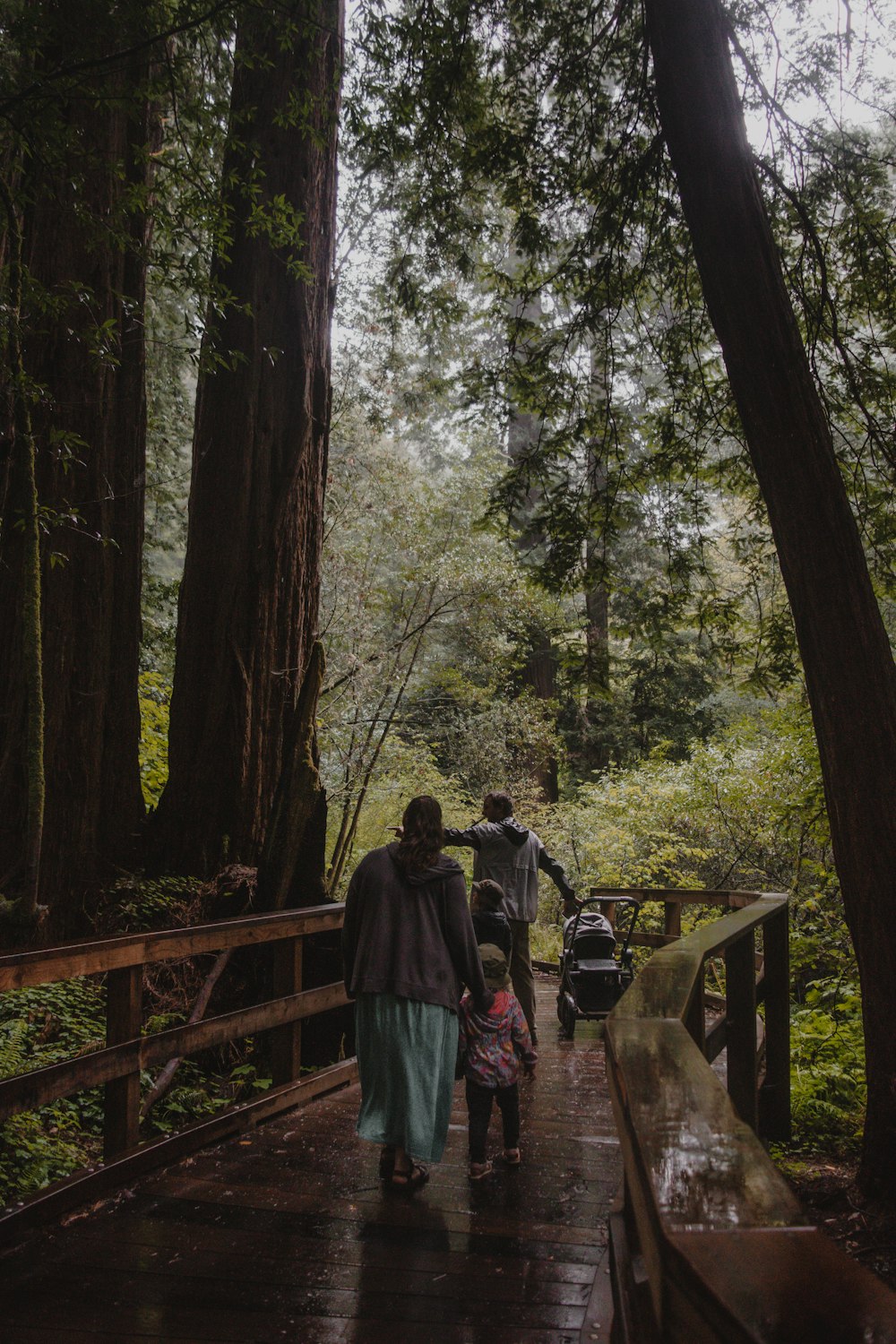 a man and woman walking on a bridge in the woods