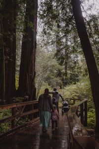 A family, comprising two adults and a child walking along a wooden pathway surrounded by towering trees and lush green foliage. They are pushing a stroller, indicating the presence of a small child. The scene is tranquil and captures the essence of a peaceful walk in the forest.