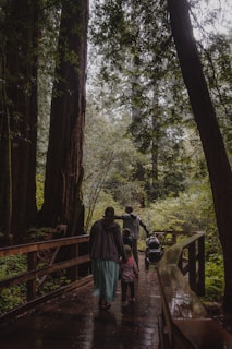 A family, comprising two adults and a child walking along a wooden pathway surrounded by towering trees and lush green foliage. They are pushing a stroller, indicating the presence of a small child. The scene is tranquil and captures the essence of a peaceful walk in the forest.