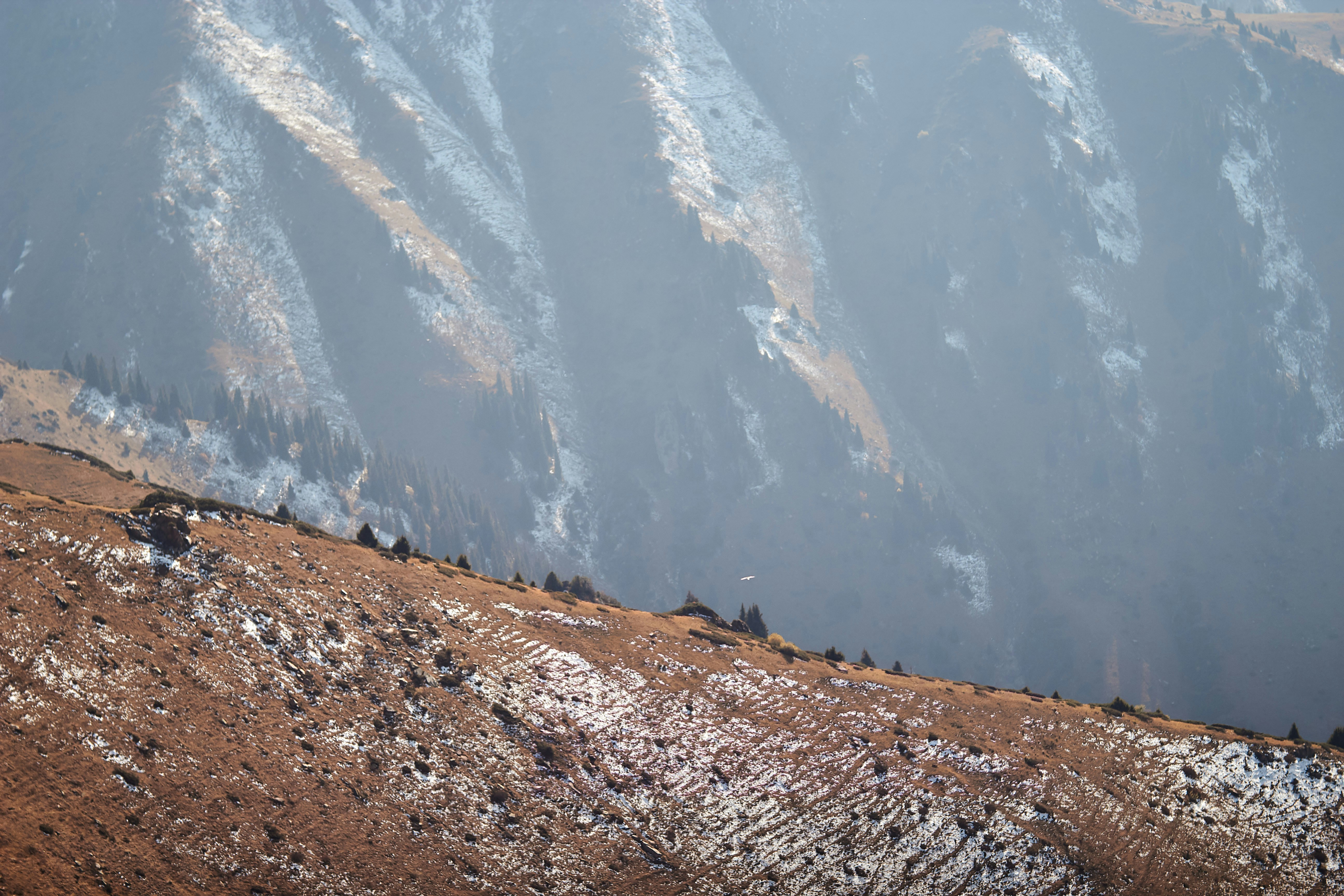 Photo by barsuklis