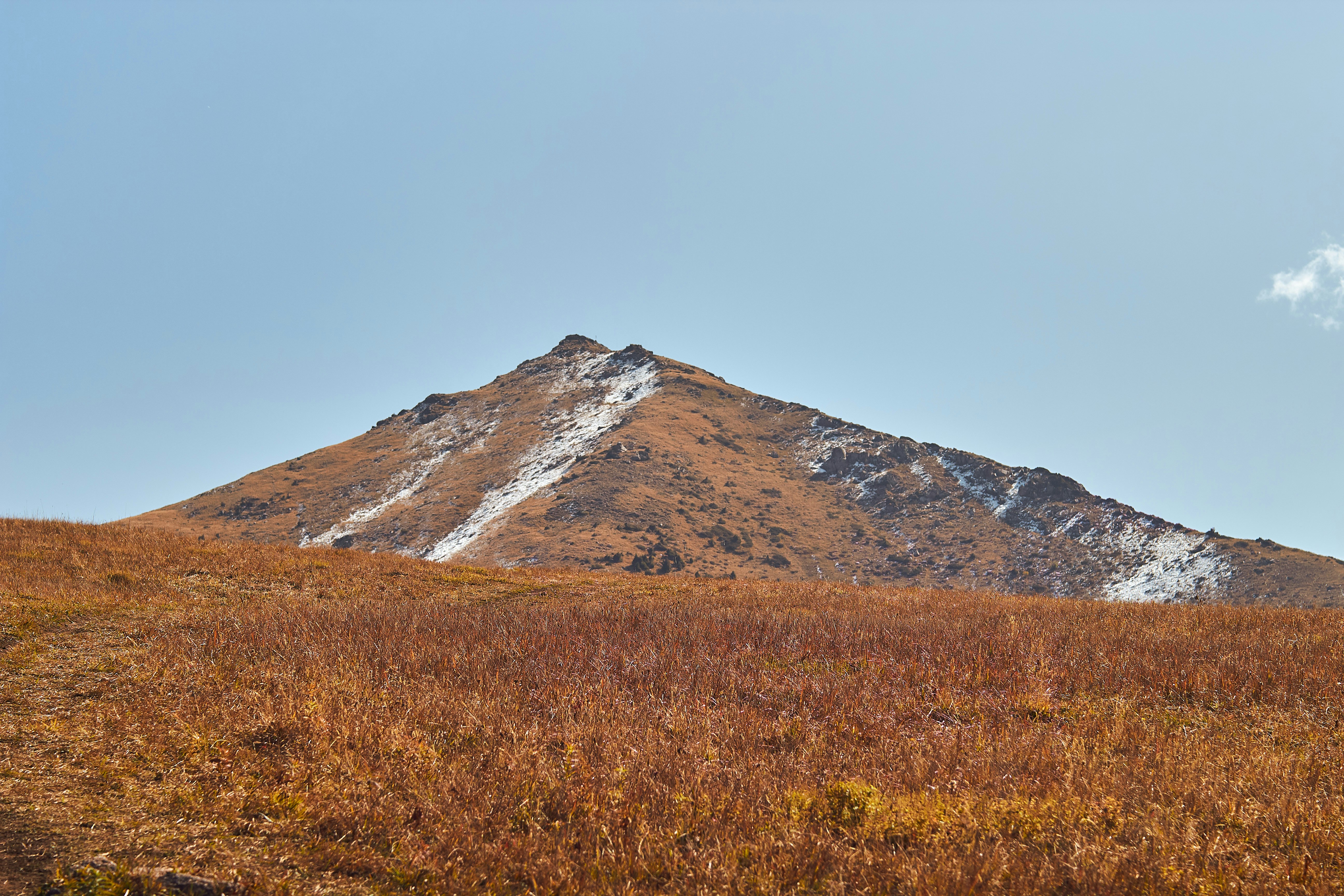 Semaglutide in Mount Pulaski, IL: A Practical Guide to GLP-1 Weight Loss Support