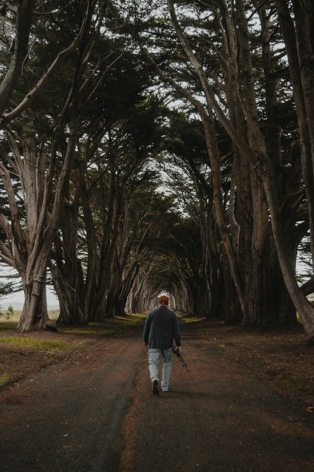 a man walking on a path surrounded by trees