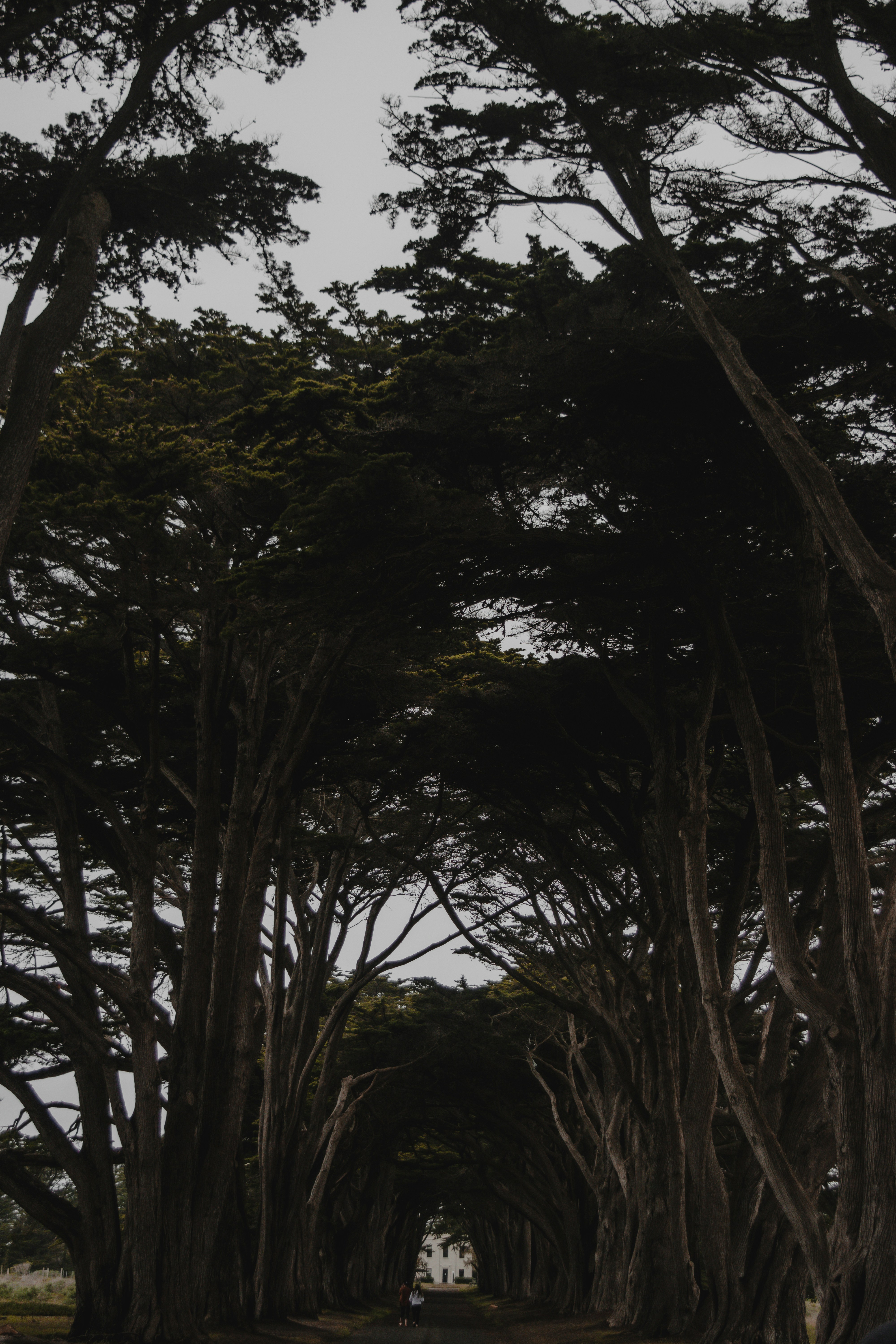 Photo by sydmoore6