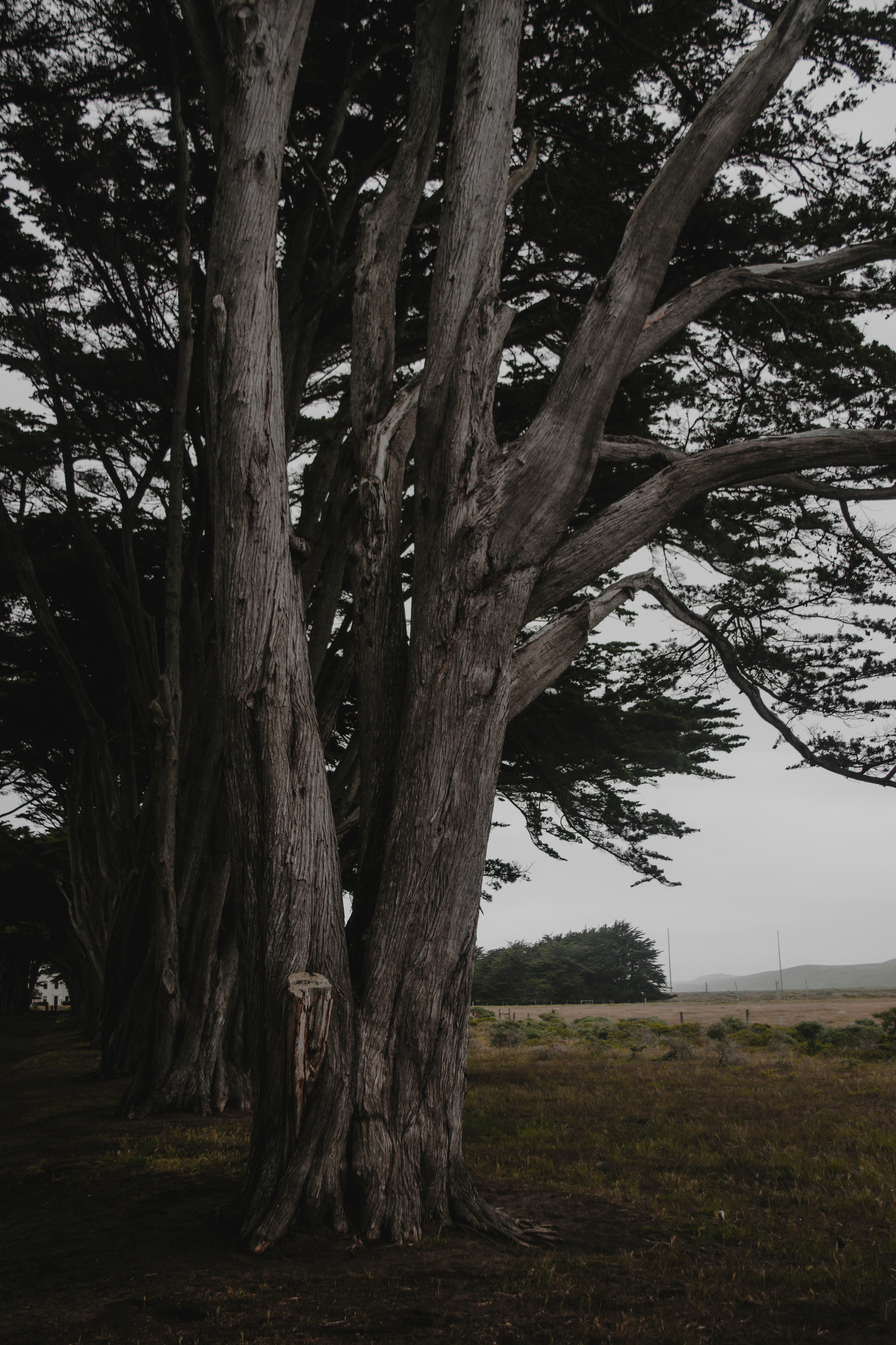 Photo by sydmoore6