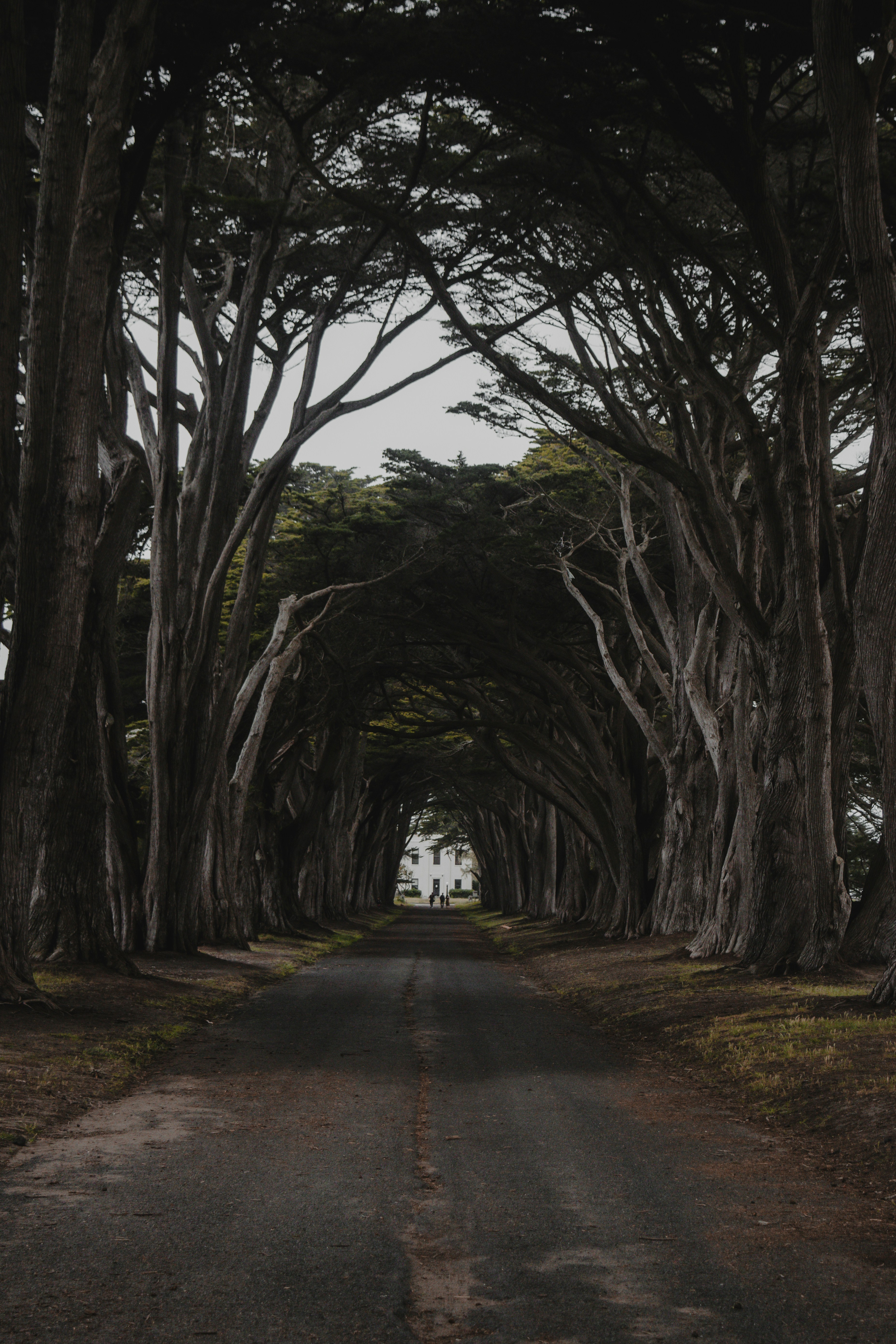 Photo by sydmoore6