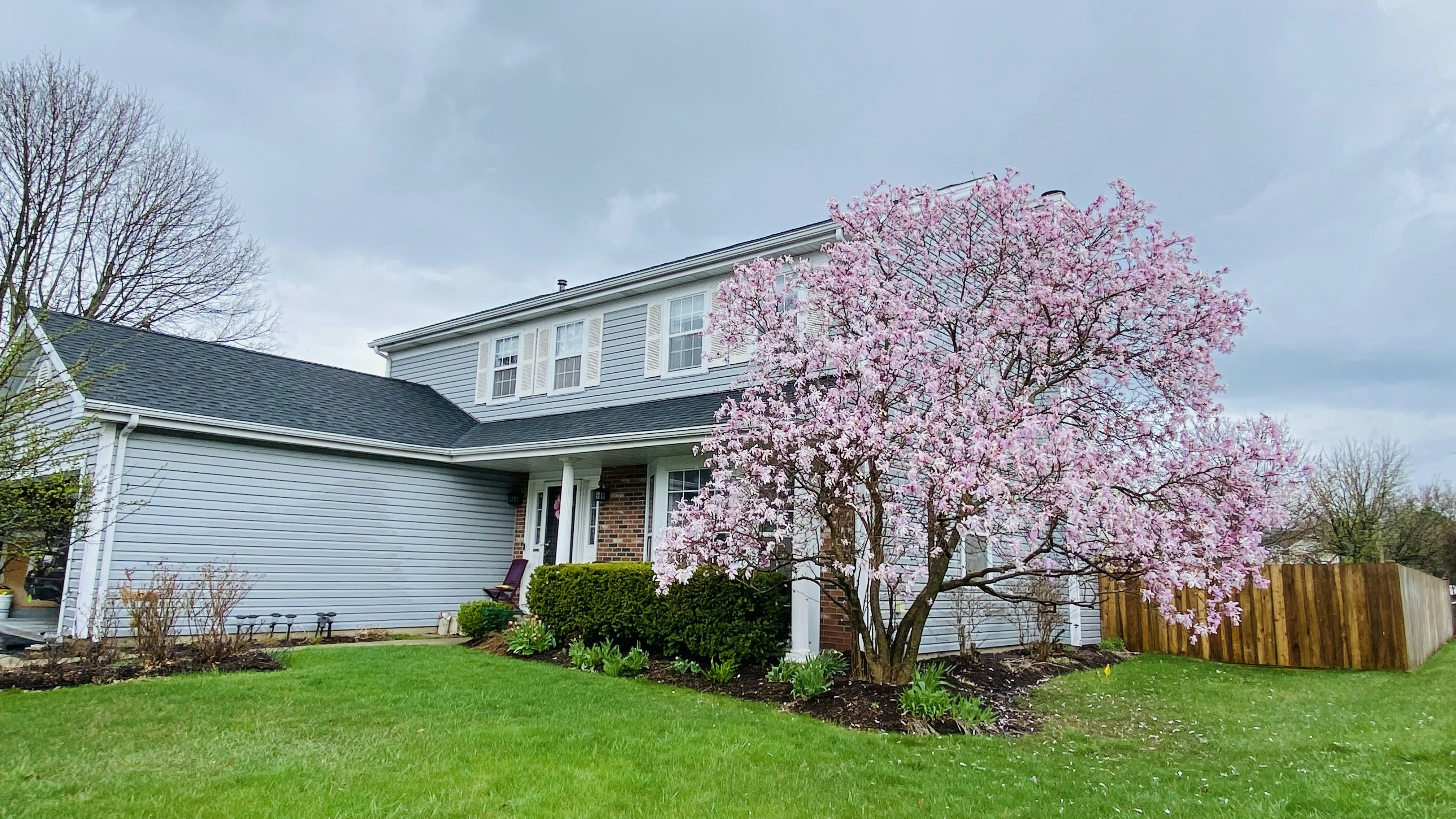 a tree with pink flowers in front of a house