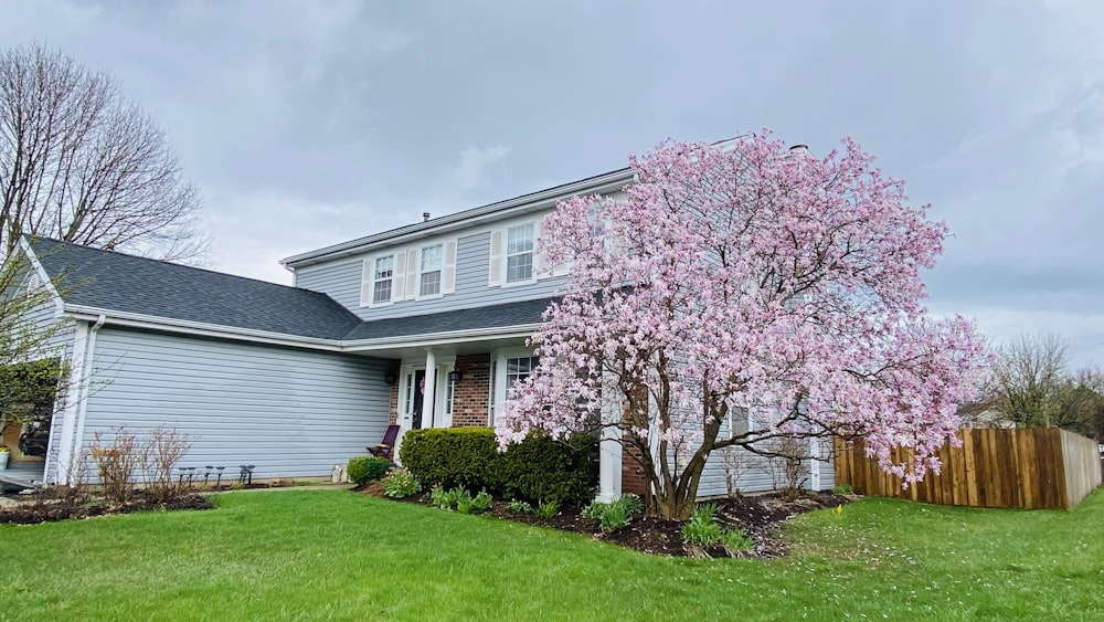 a tree with pink flowers in front of a house