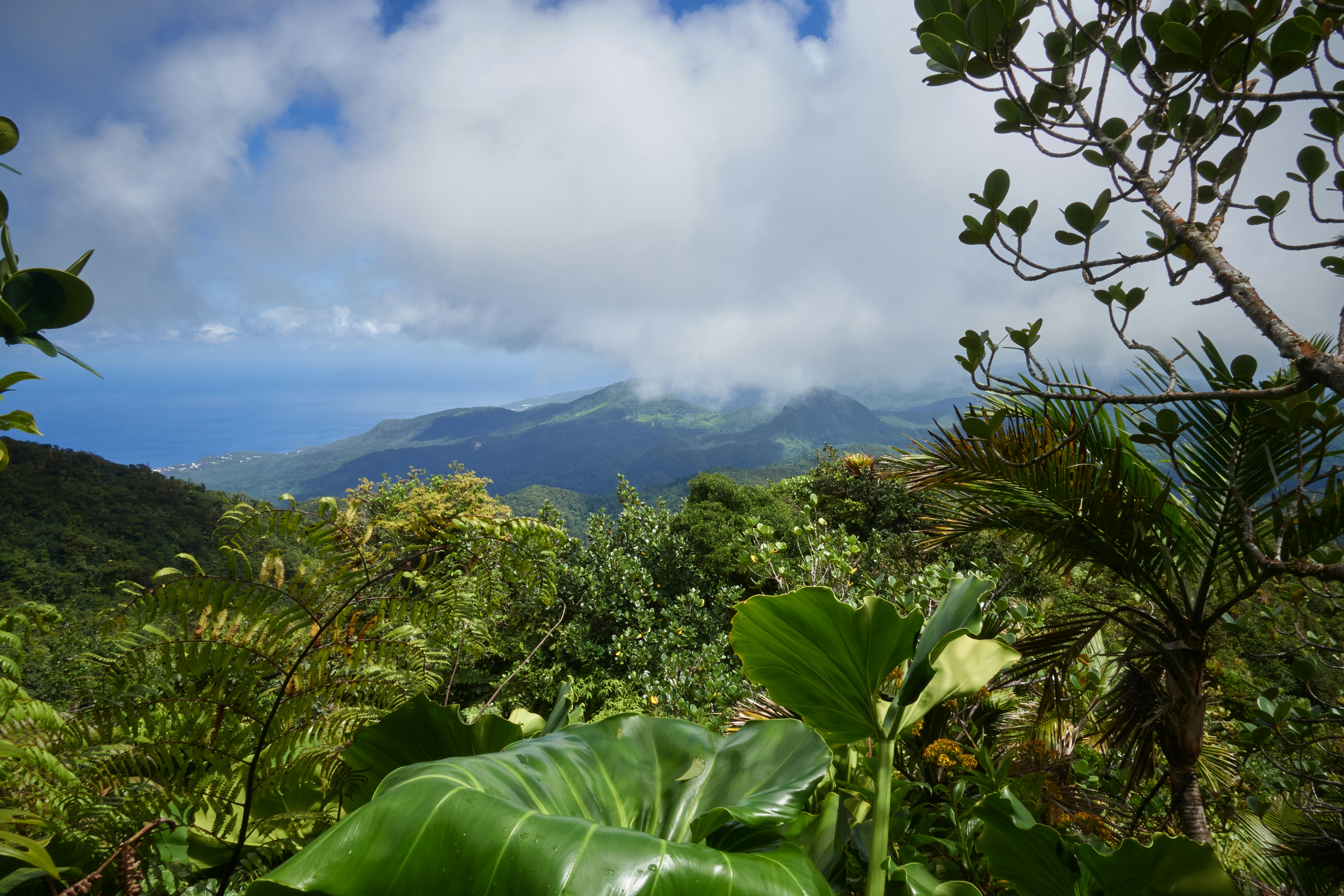 Stay online in the Guadeloupe with a prepaid eSIM from eSIMlii. Instant activation, no roaming charges, and reliable coverage.