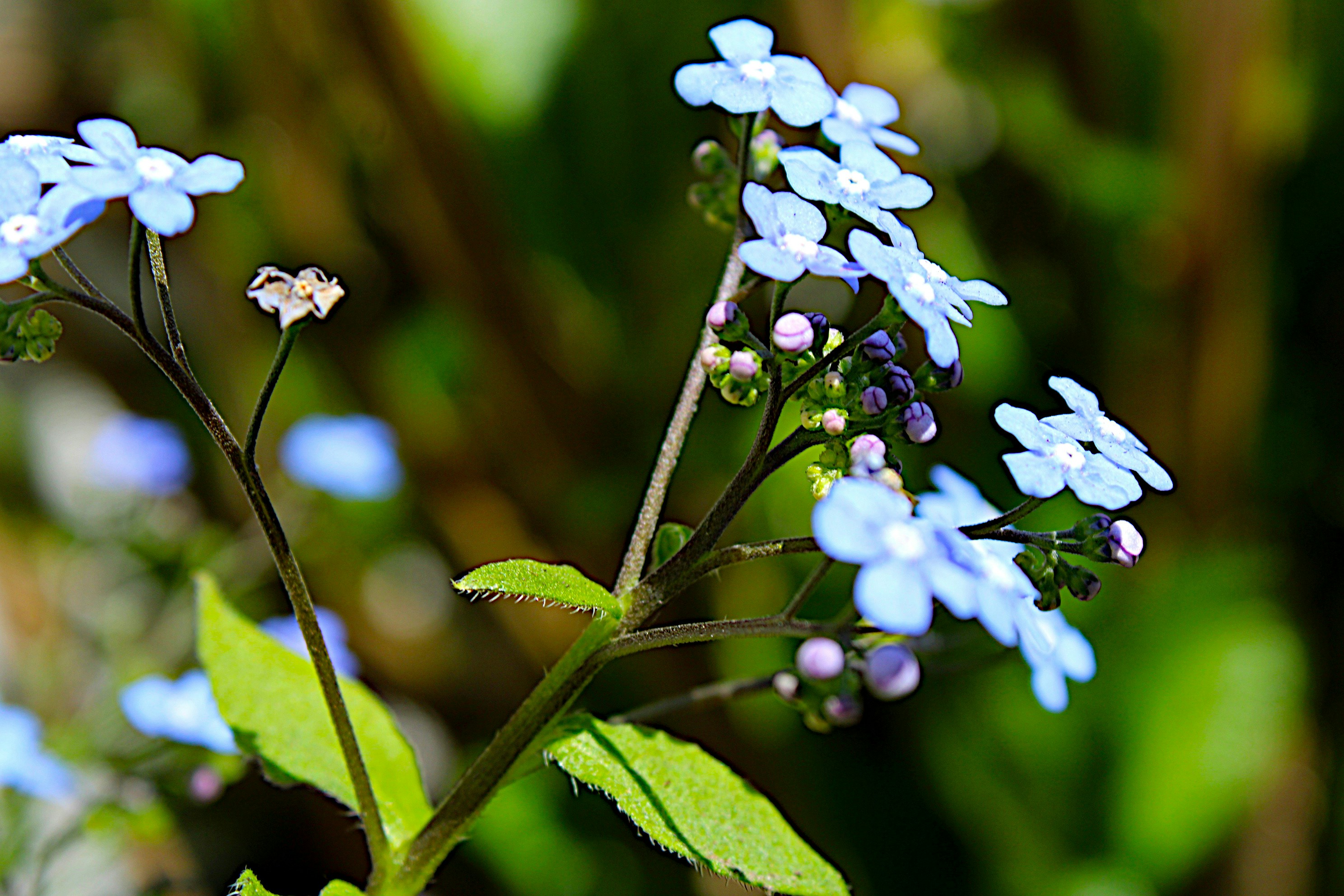 Photo by isaacstevenlind