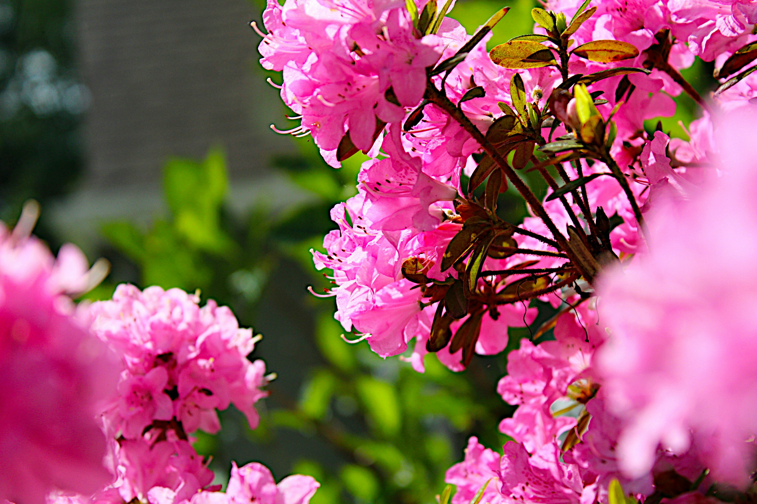 Photo by isaacstevenlind