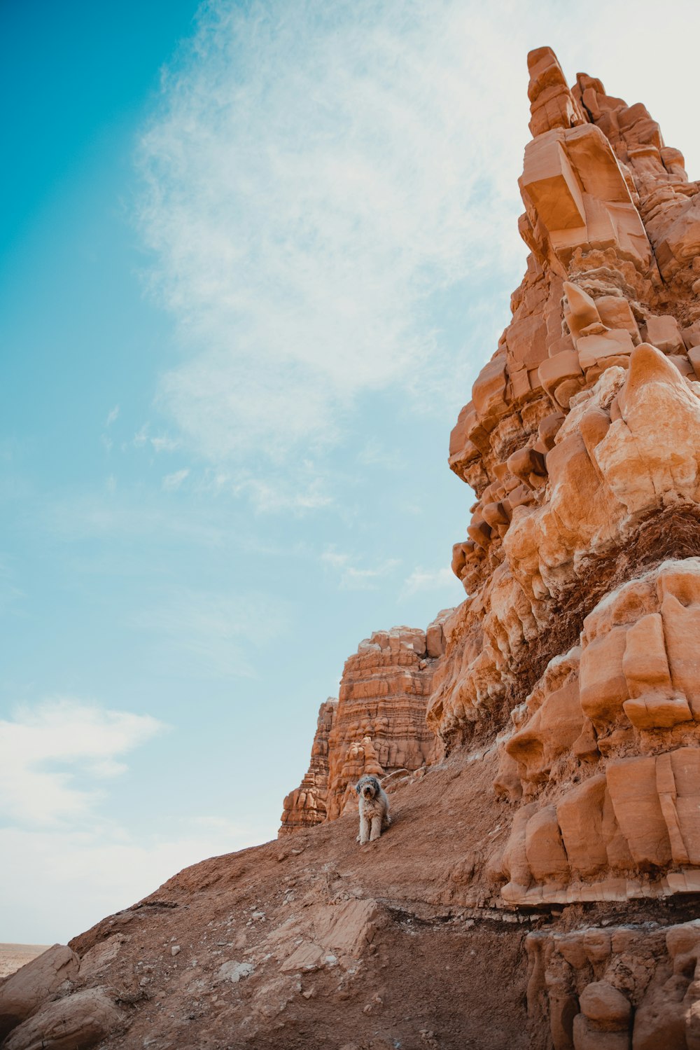 a person standing on a rock