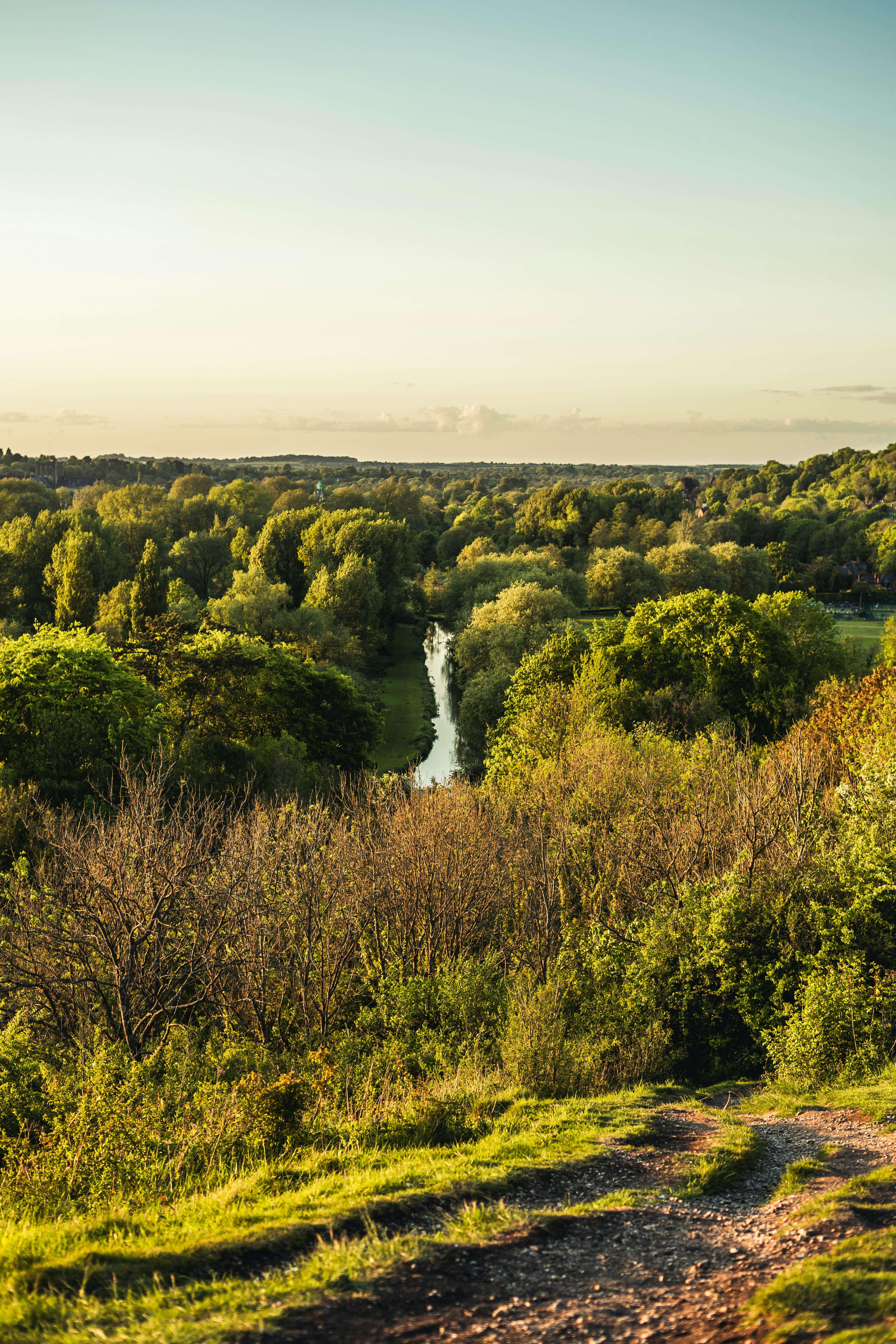 Photo by itsrobcoates