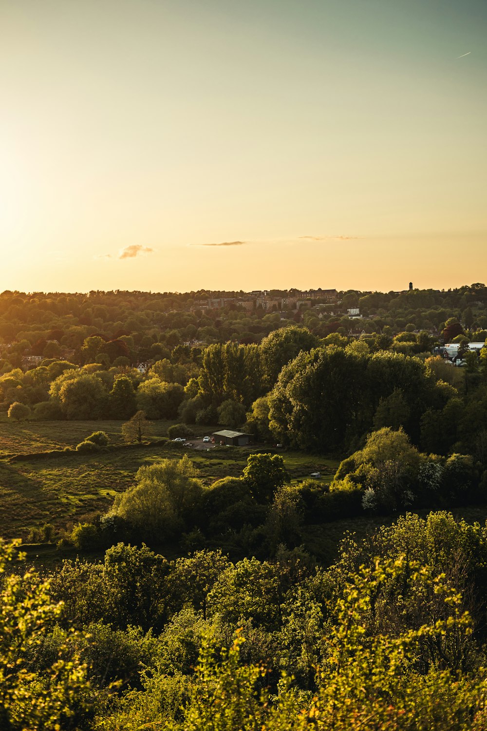 a landscape with trees and houses