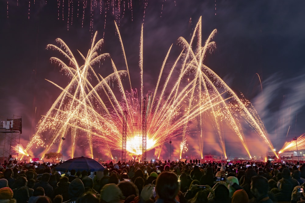 a crowd of people watching fireworks