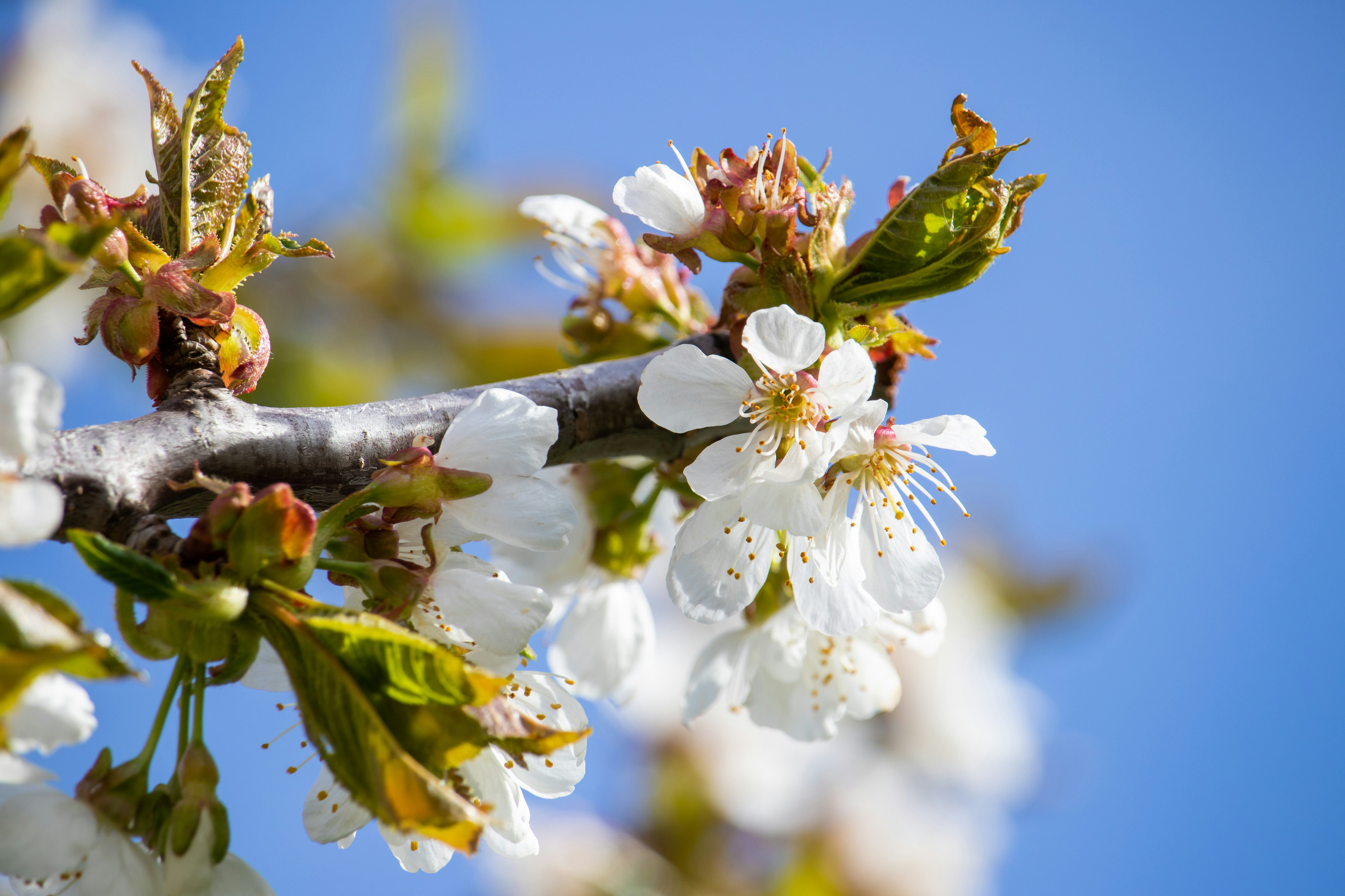 Photo by scatteredbitsoflight