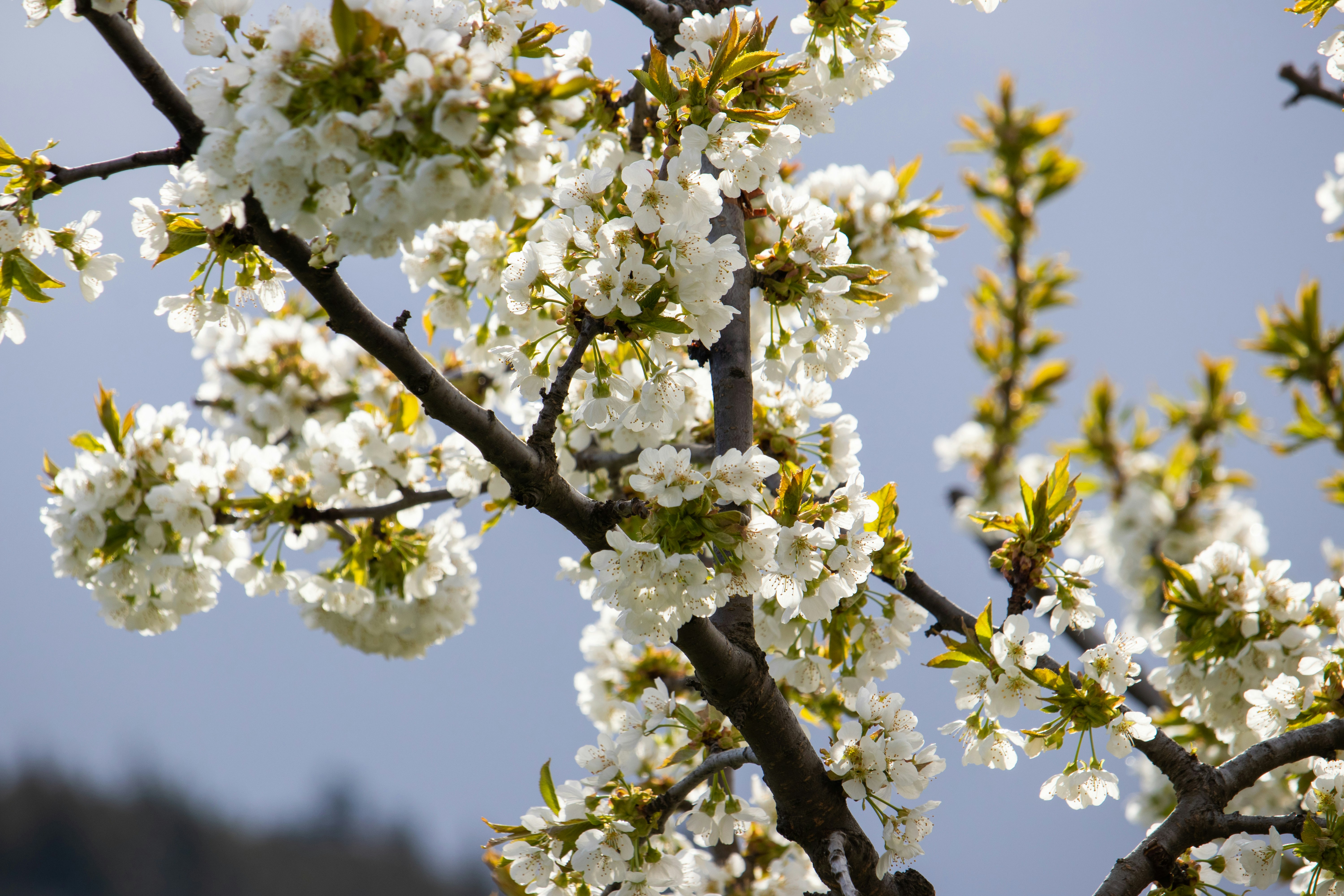 Photo by scatteredbitsoflight