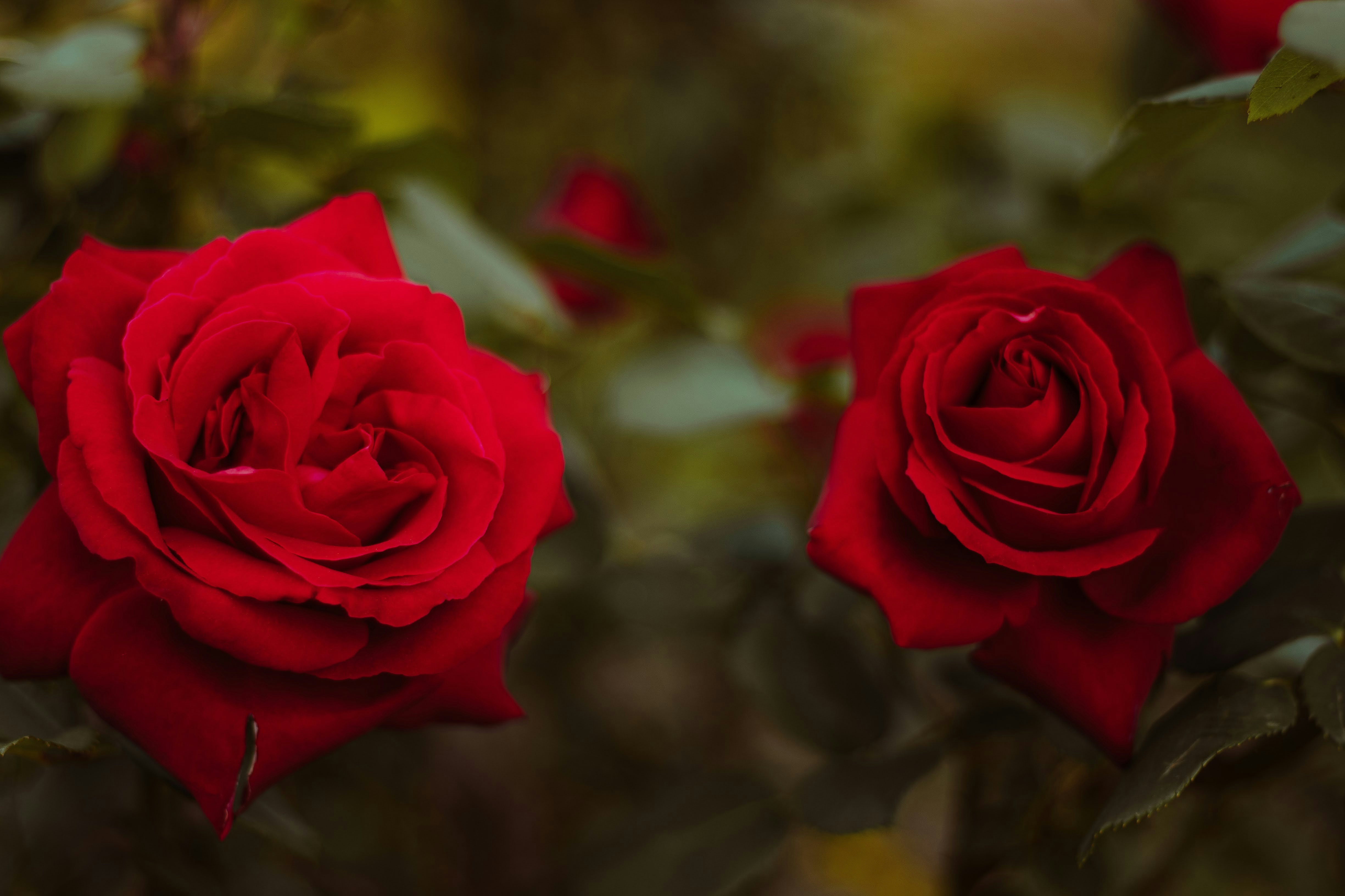 Photo by brice_cooper18