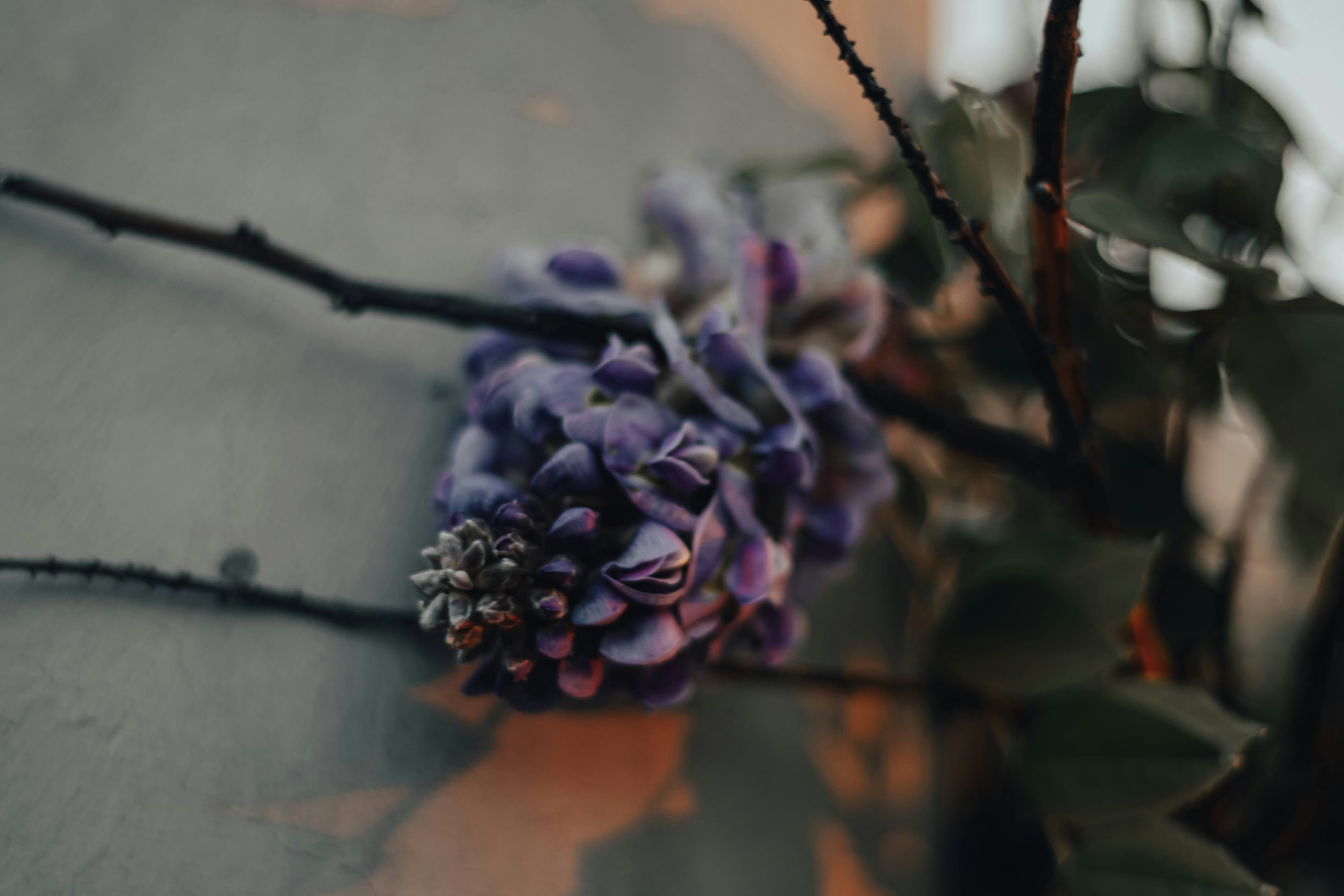 Photo by brice_cooper18