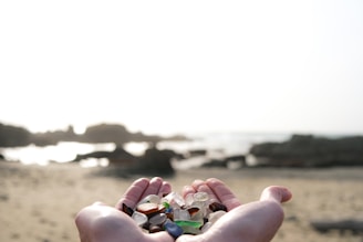 Hand holding a cluster of colorful sea glass against a blurred ocean background