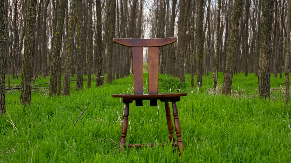 a wooden chair in a forest