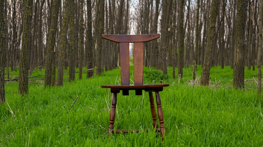 Une chaise en bois dans une forêt