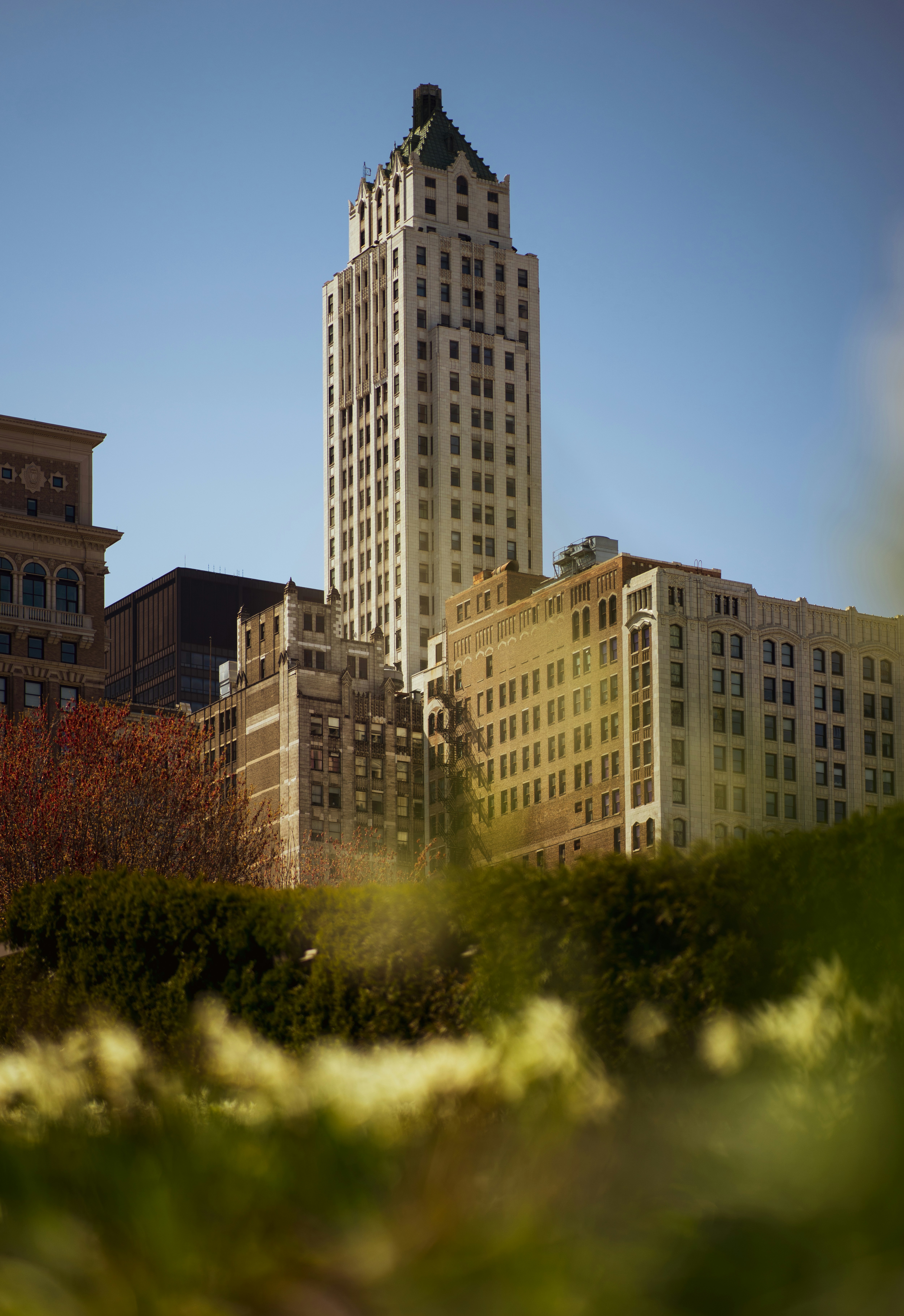 Photo by 535_productions