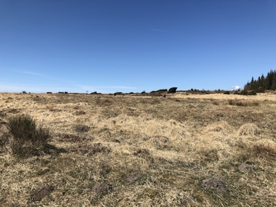 Empty plot of land with clear boundaries and open sky.