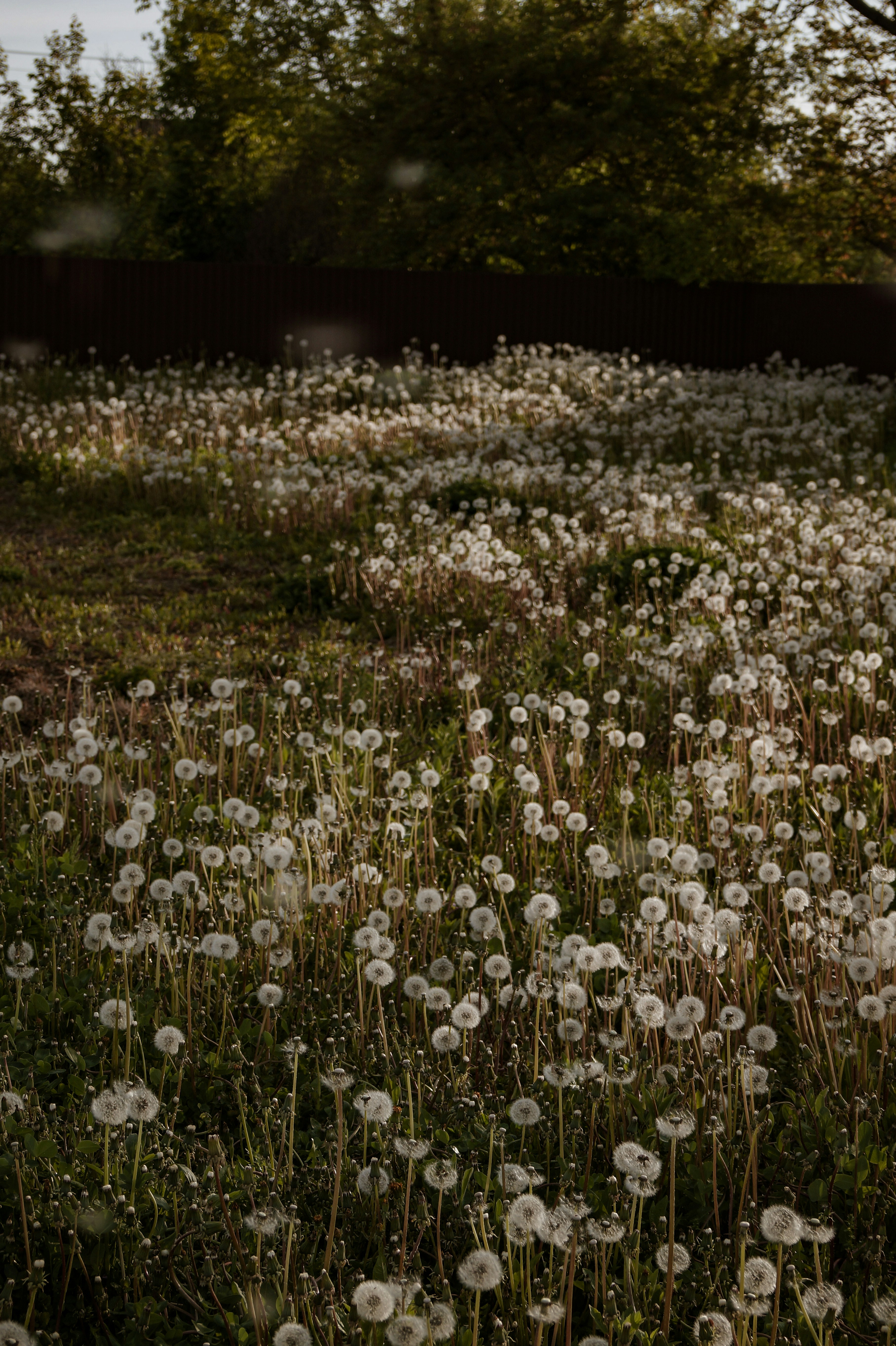 Photo by valentine_ivanova