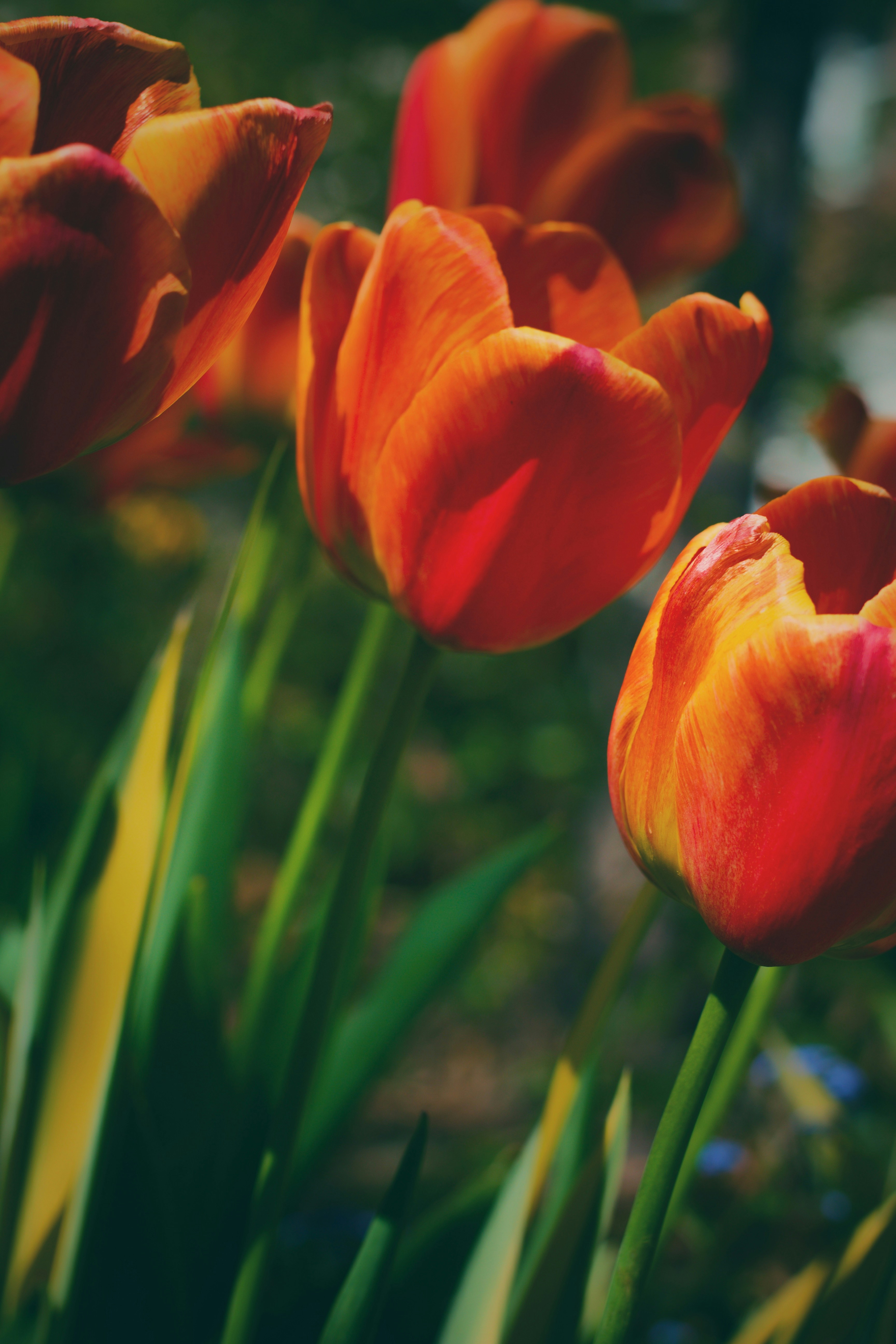 Photo by joshua_hoehne