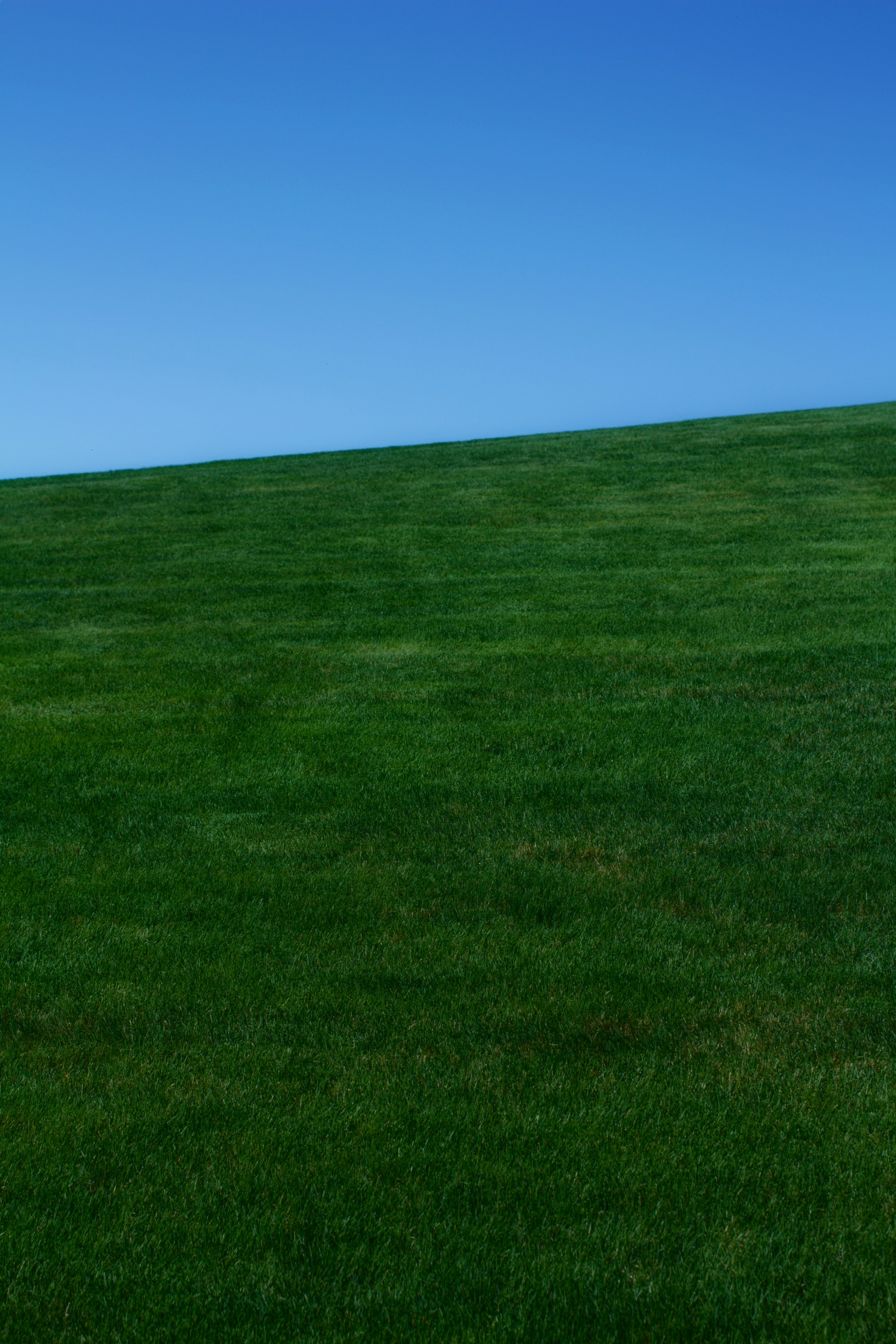 Photo by joshua_hoehne