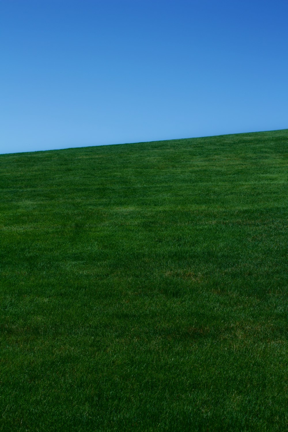 un champ vert avec un ciel bleu avec l’aire naturelle de Konza Prairie en arrière-plan