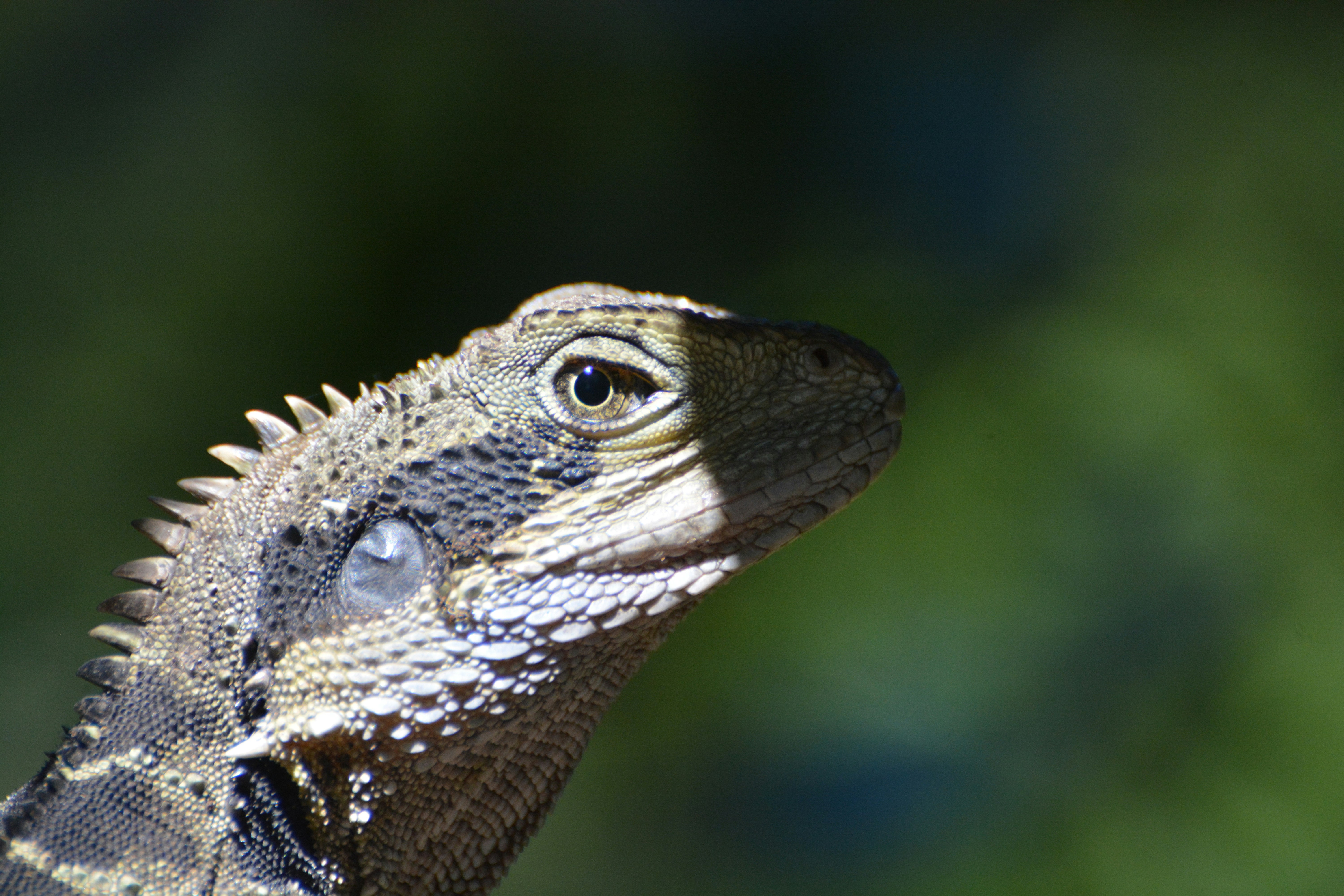 Photo by bluefrog1965