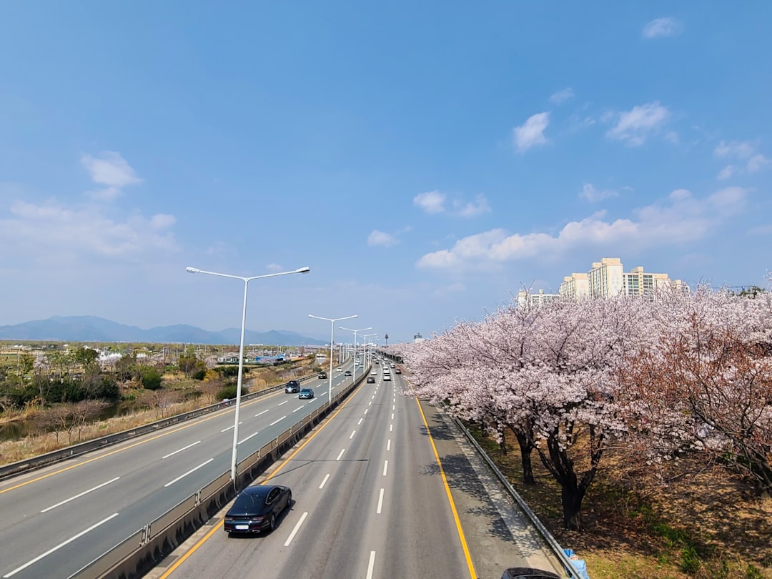 a road with cars on it and trees on the side,