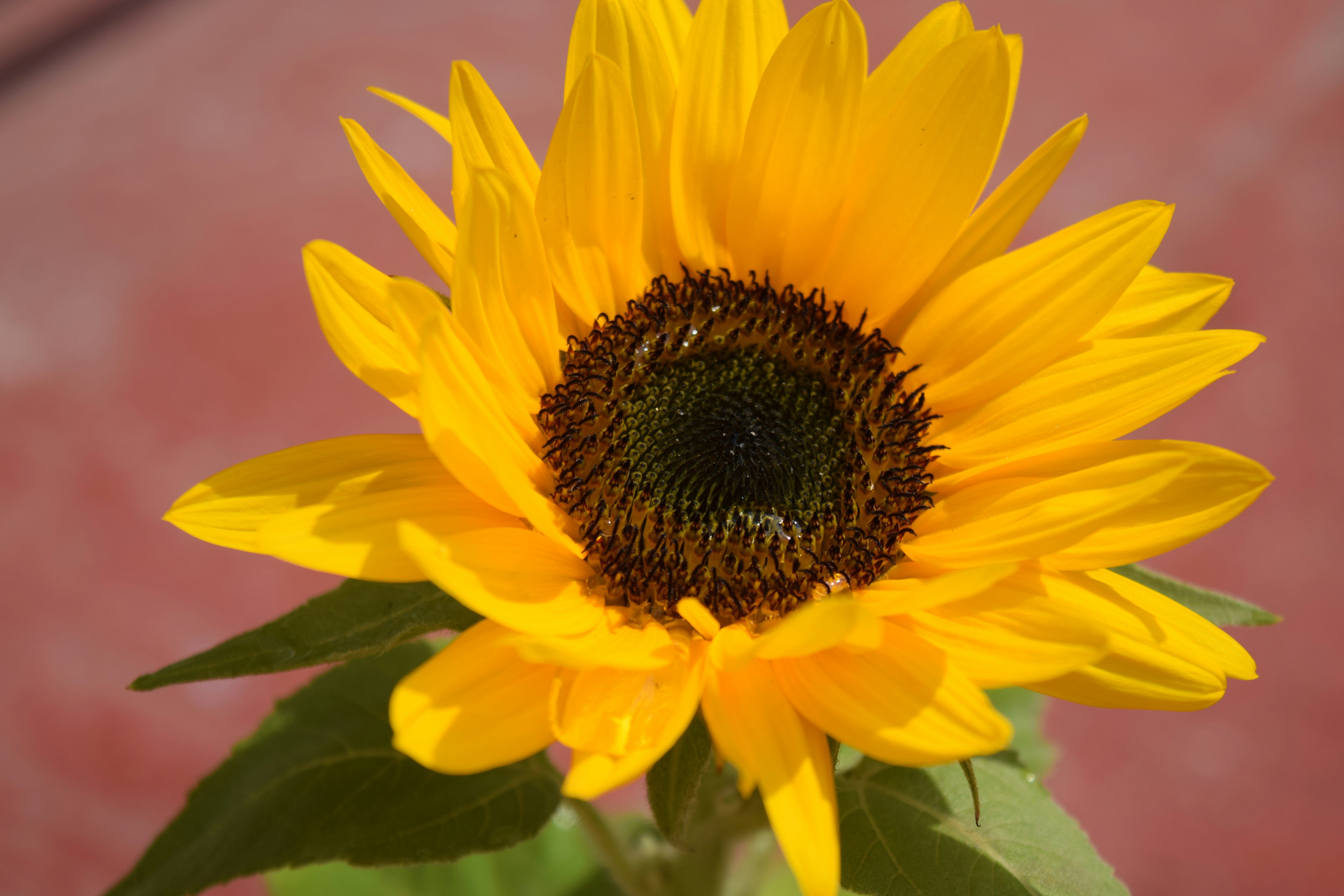 Scrolling Blog: June 2023