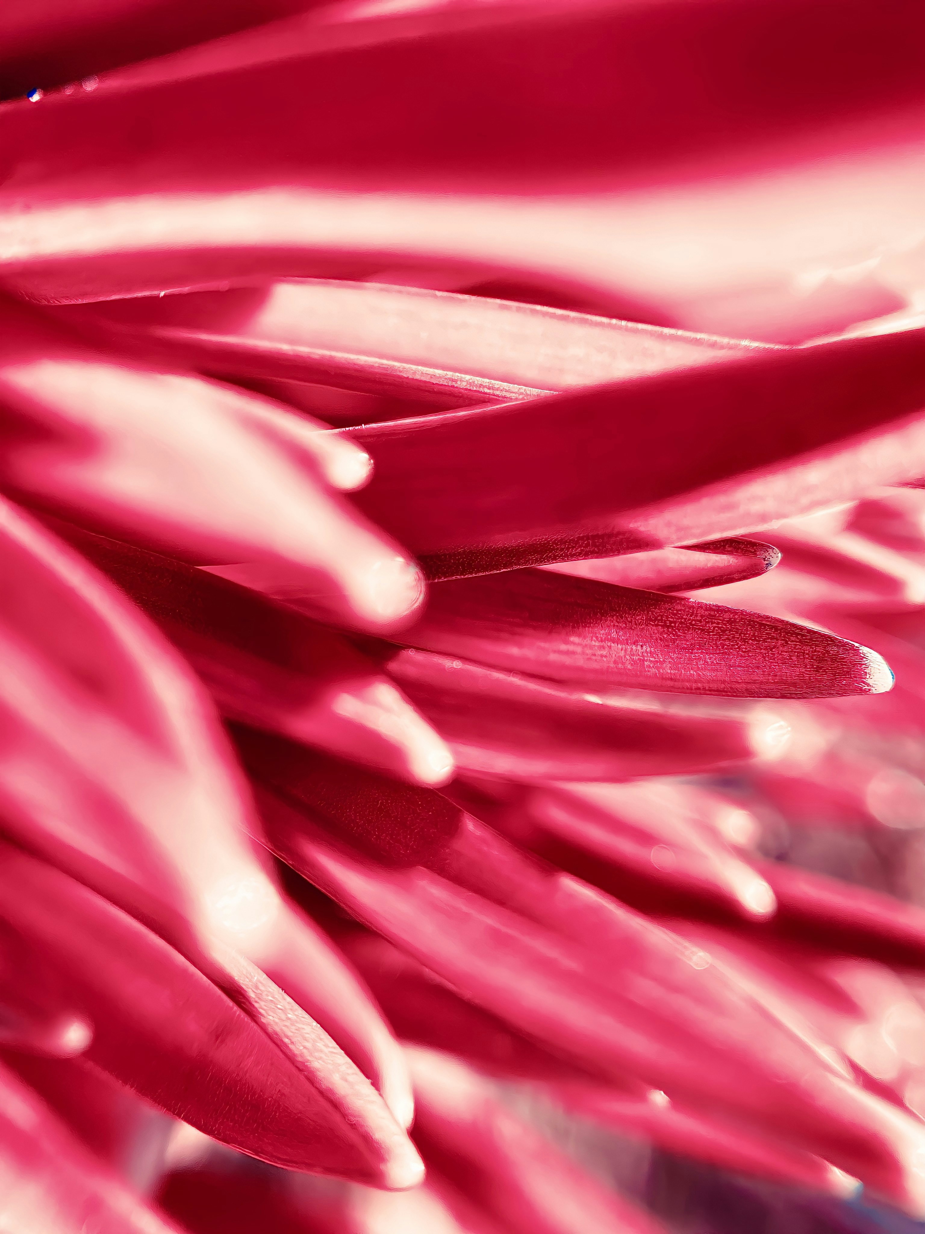 Photo by eugene_golovesov