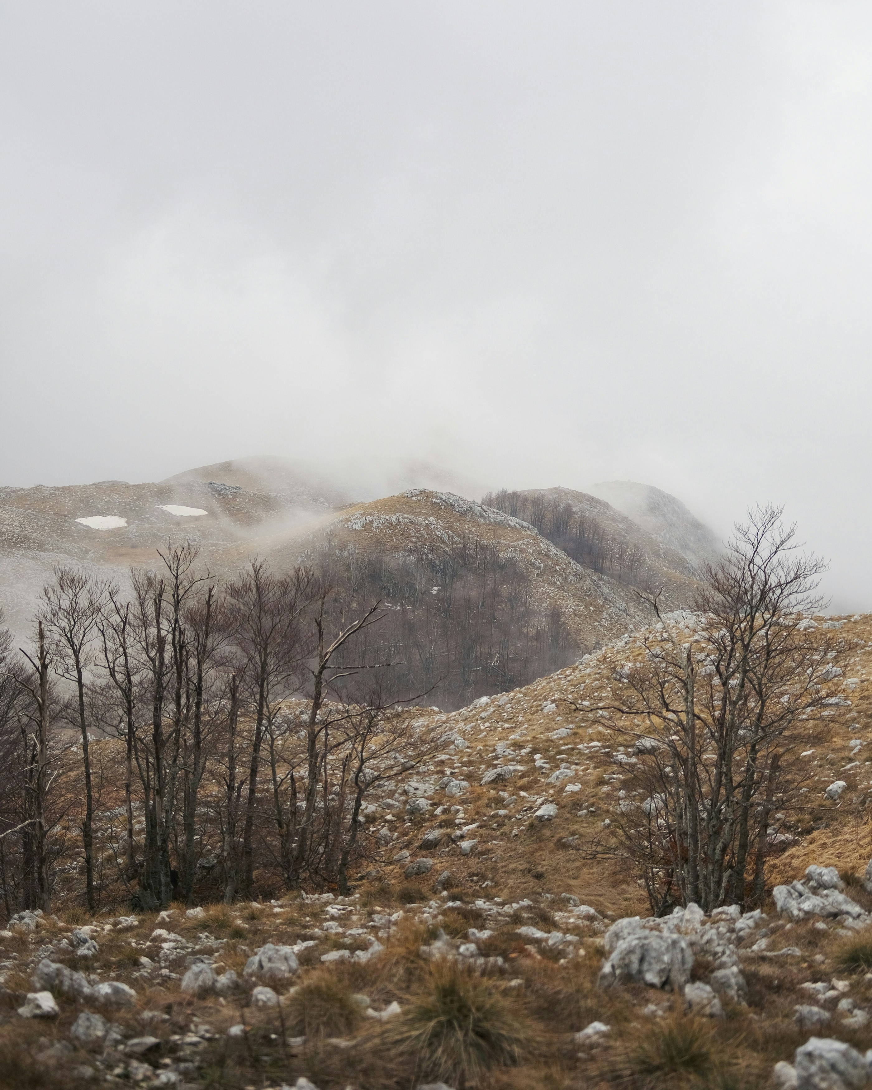 Photo by antonshutnik