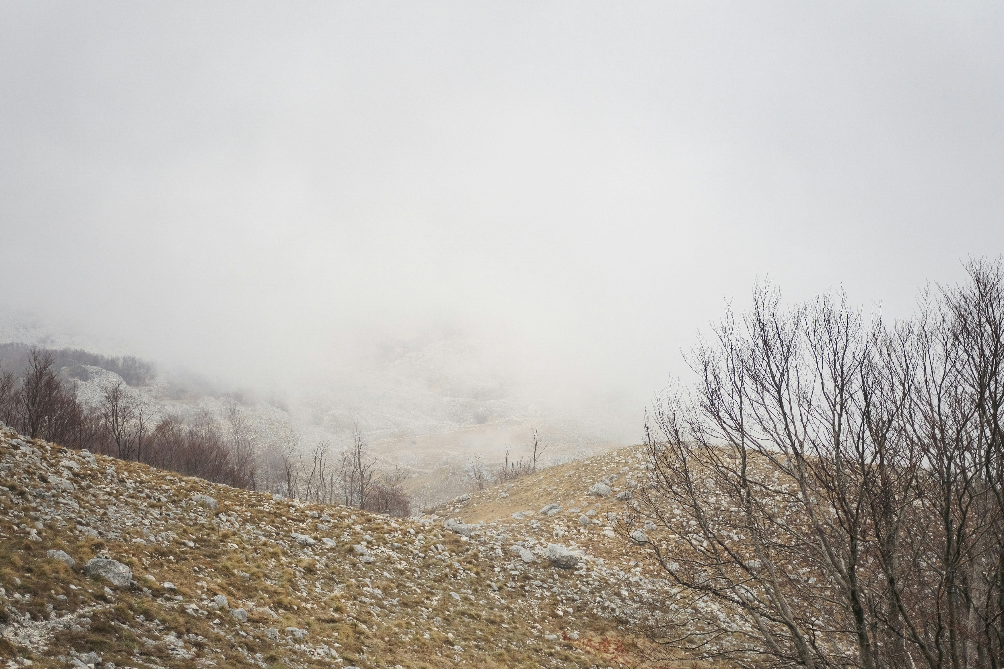 Photo by antonshutnik