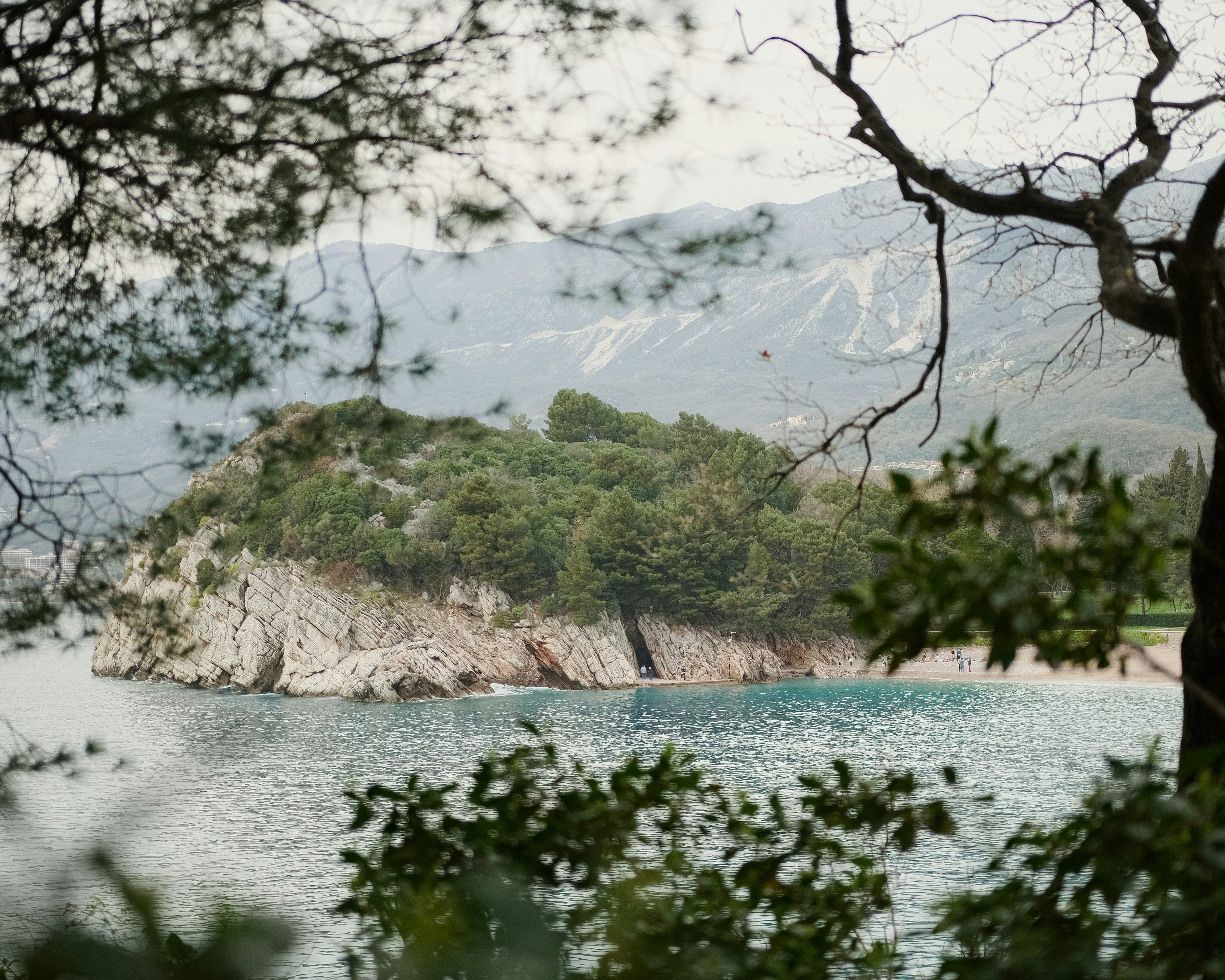 a body of water with trees and a hill in the background, 