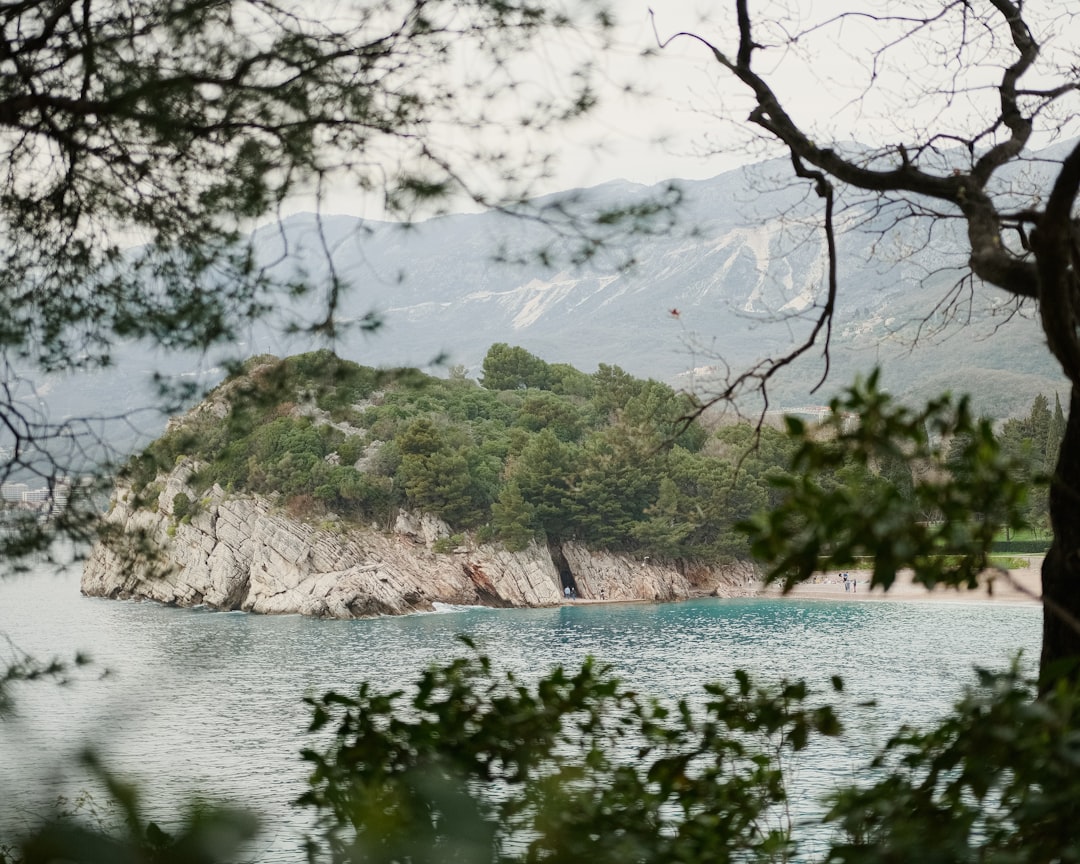 a body of water with trees and a hill in the background,