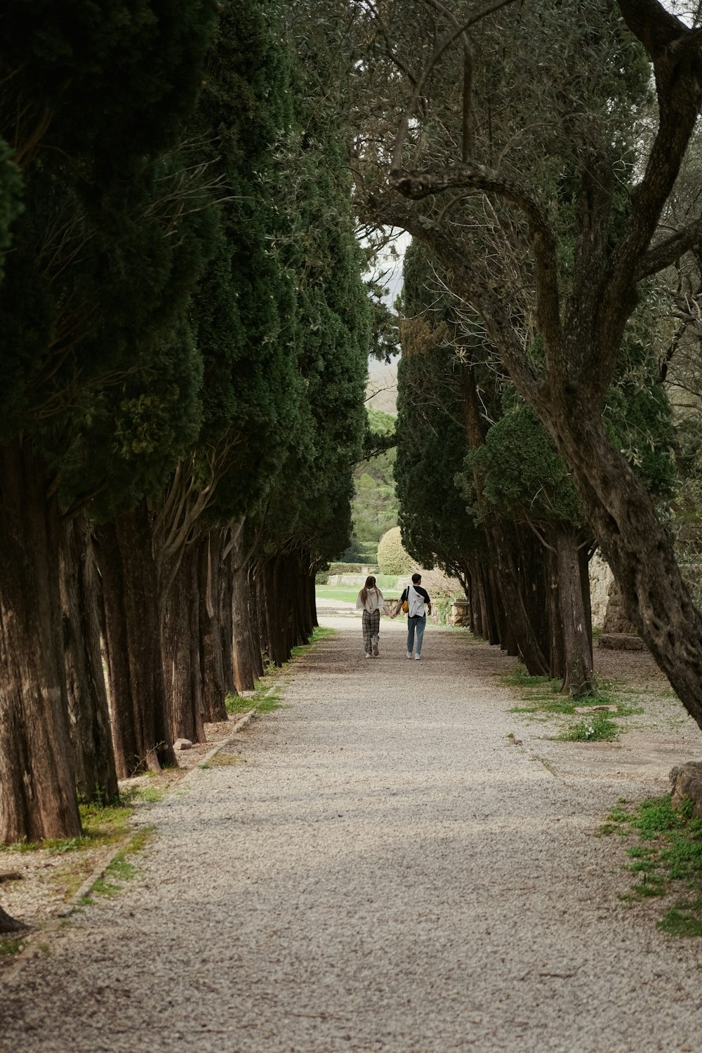 a couple people walking on a path between trees
