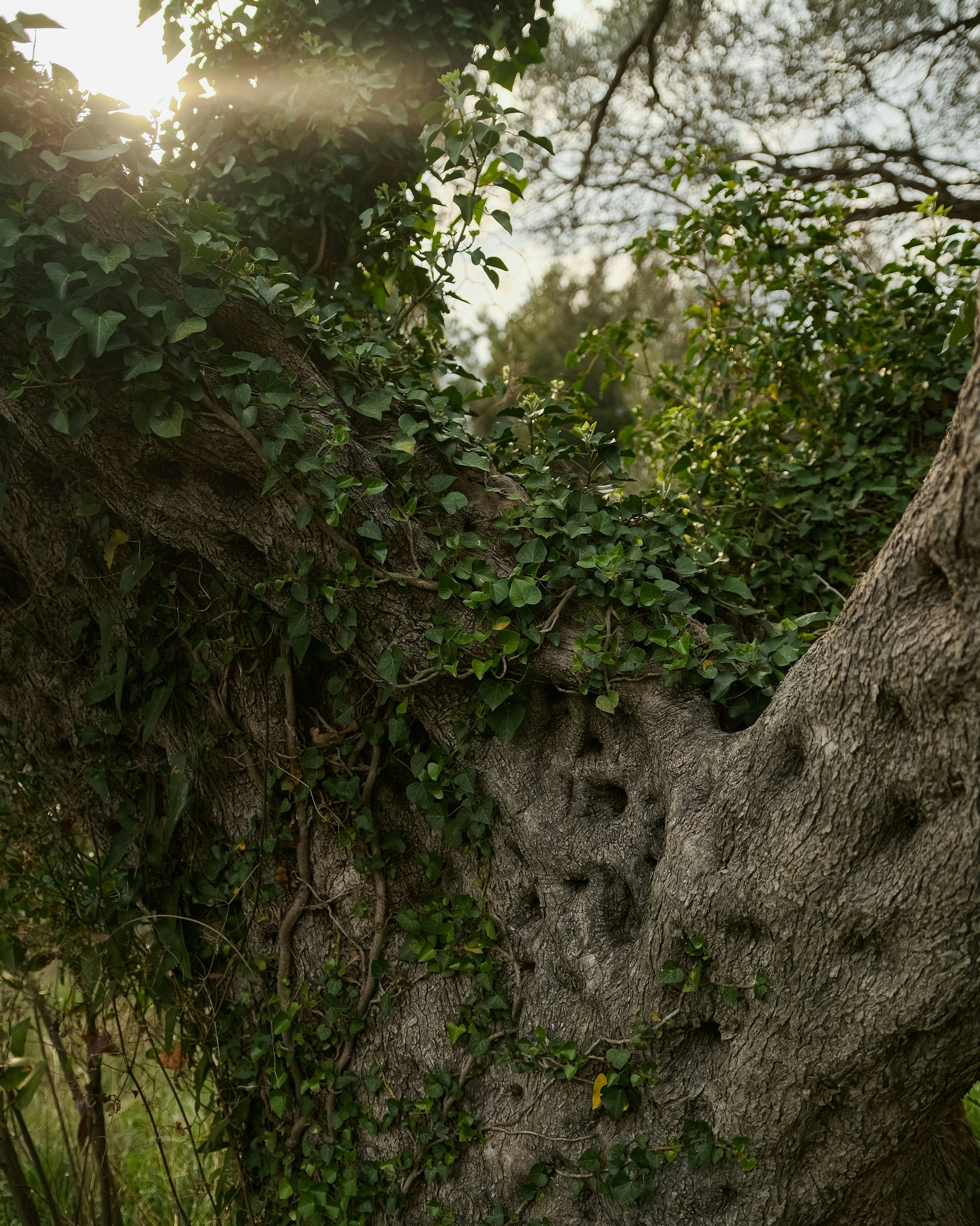 Photo by antonshutnik