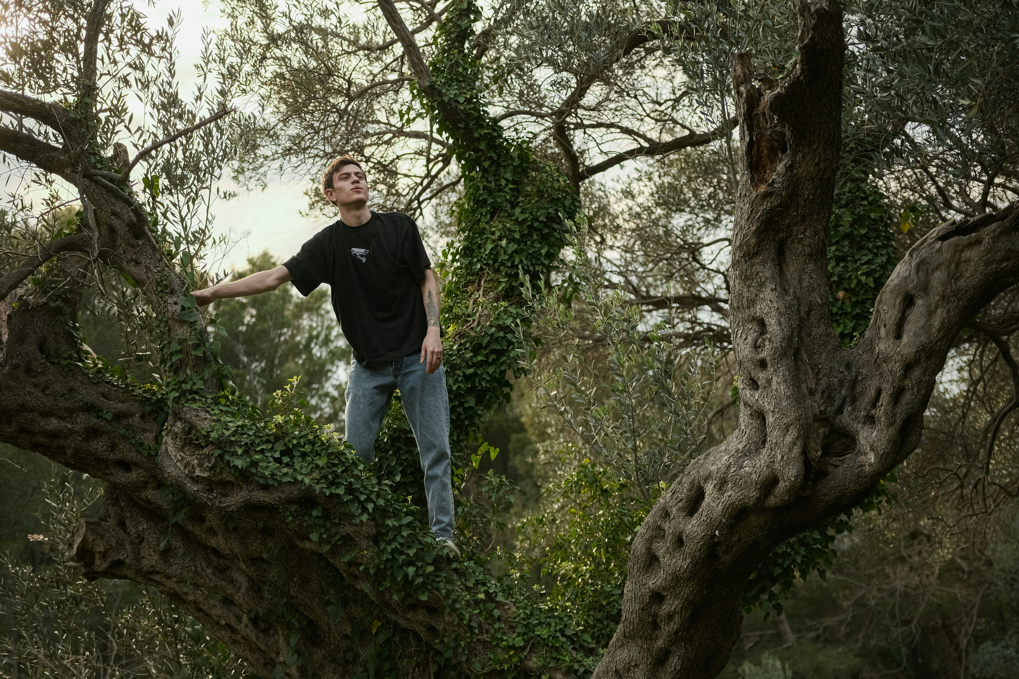 a man standing in a tree