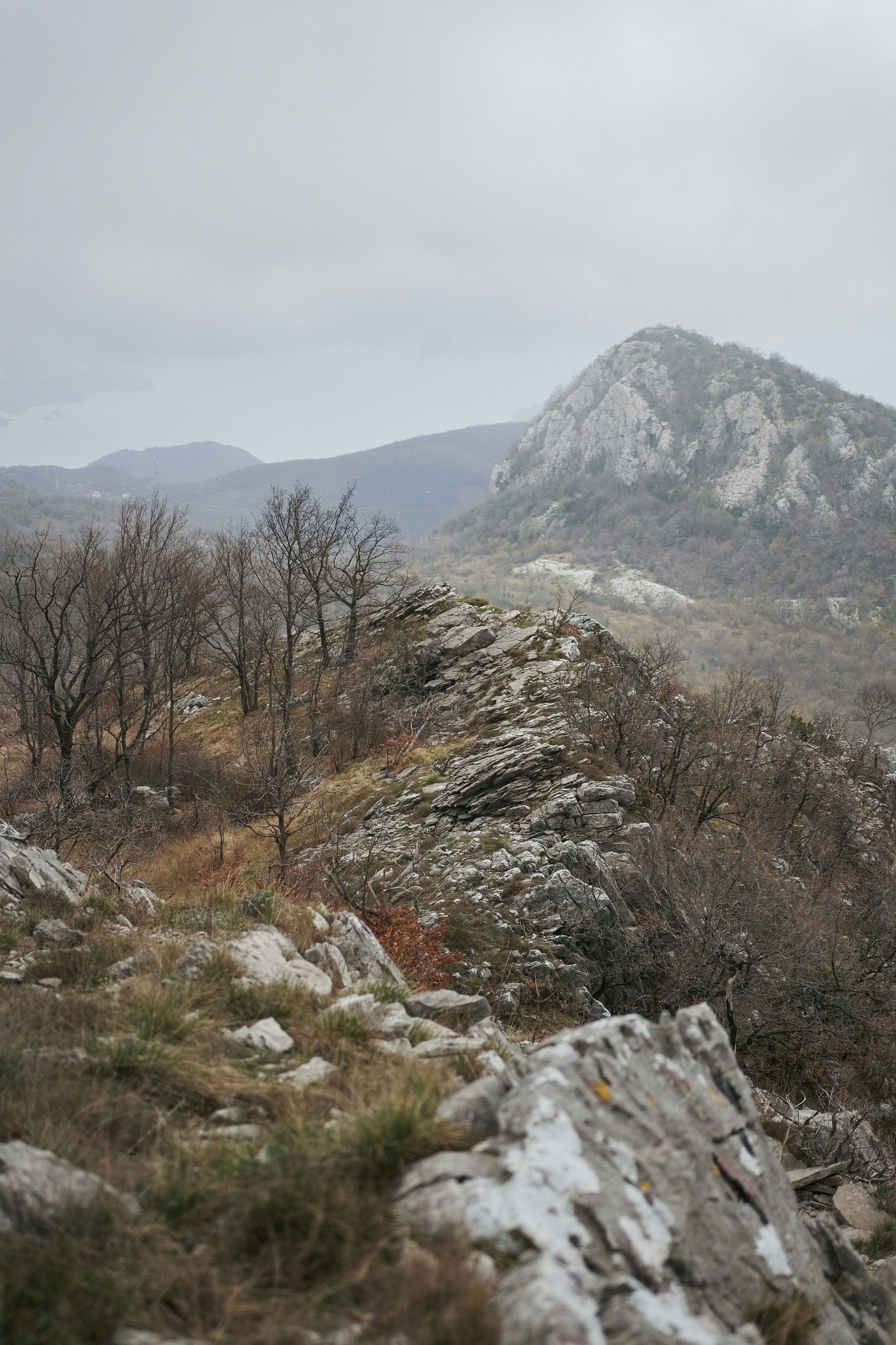 Photo by antonshutnik