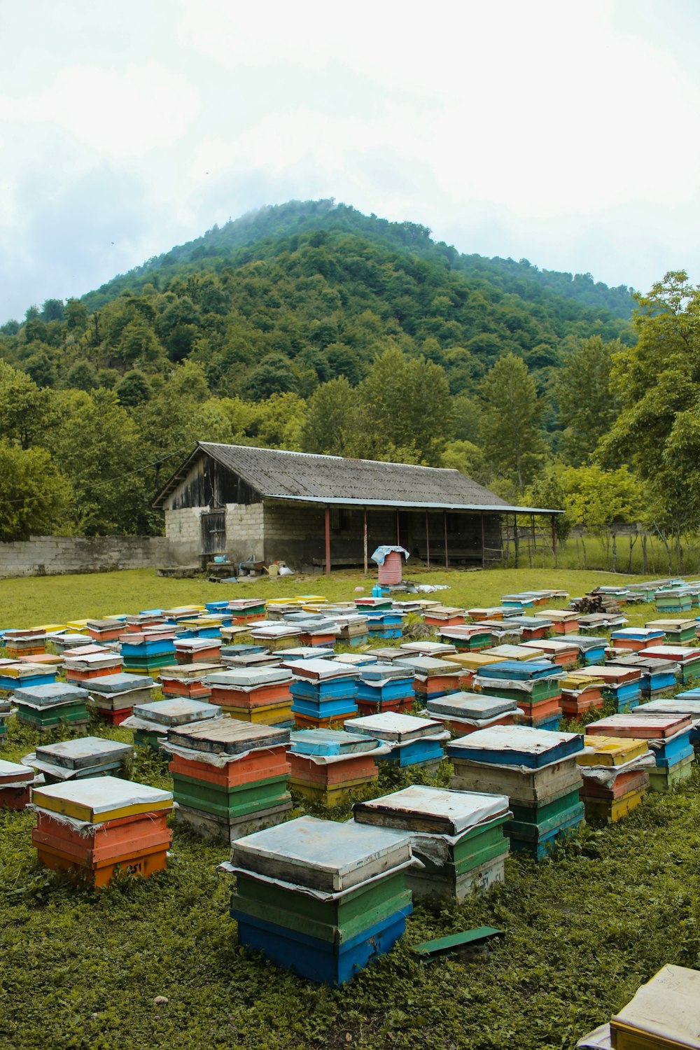 a group of boxes outside